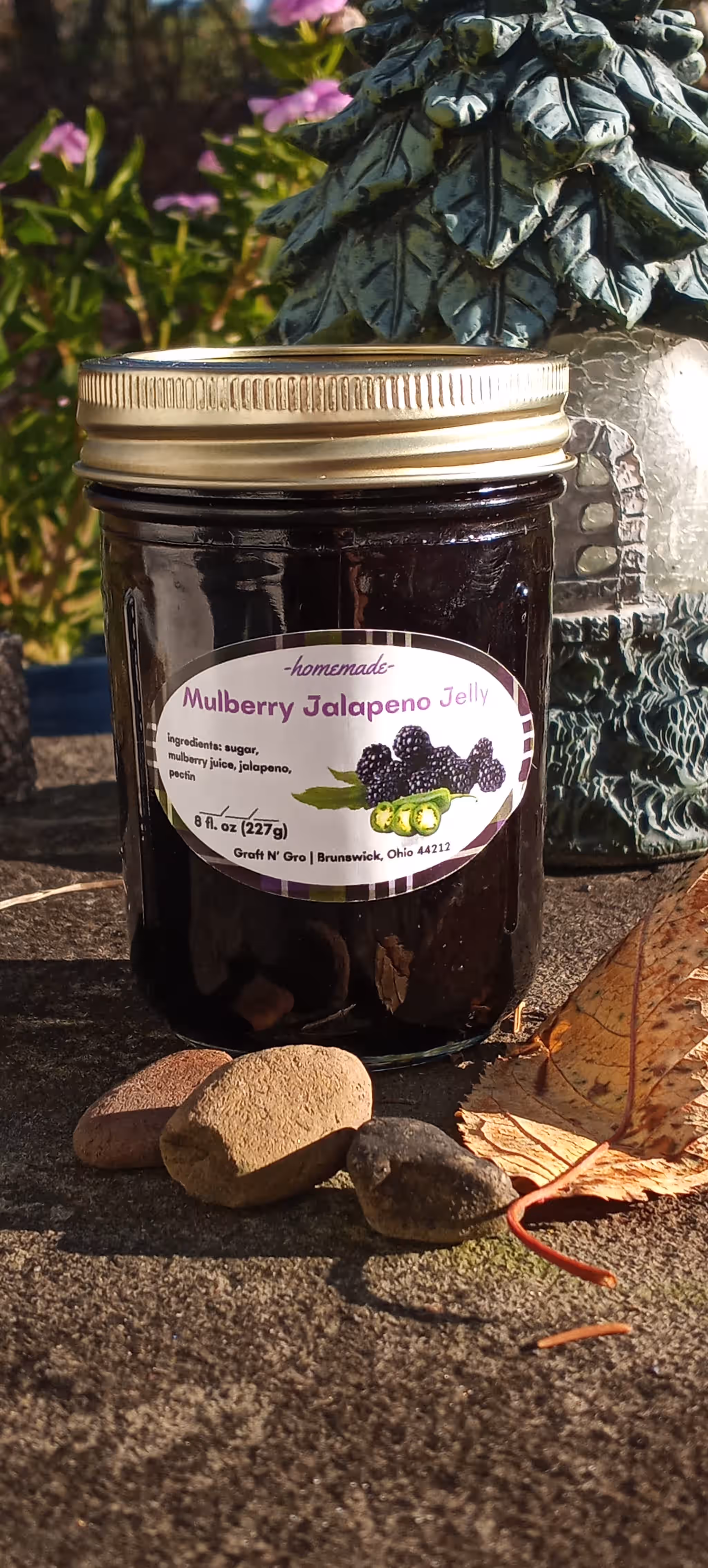Mulberry Jalapeno Jelly