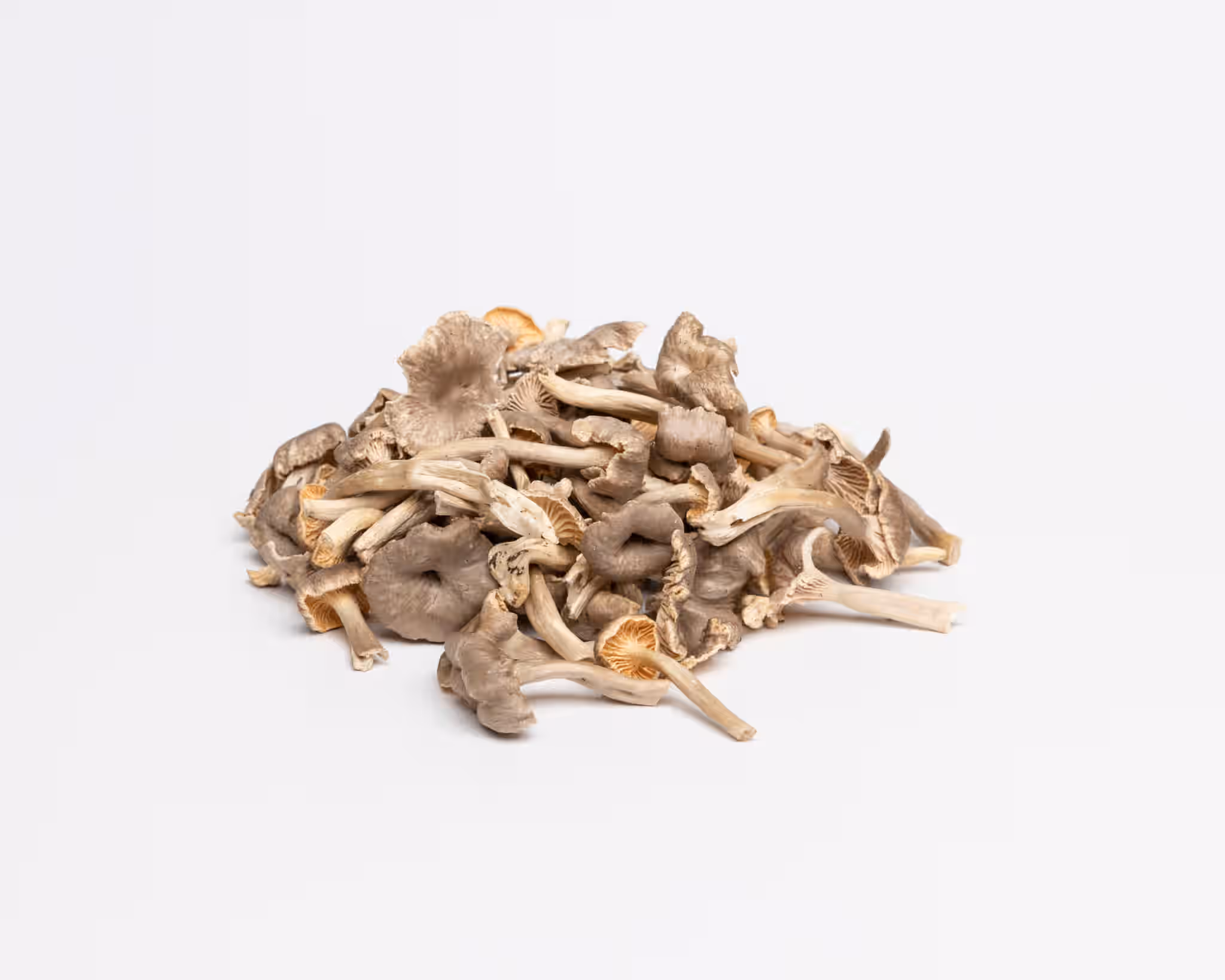 Freeze-Dried Yellow Feet