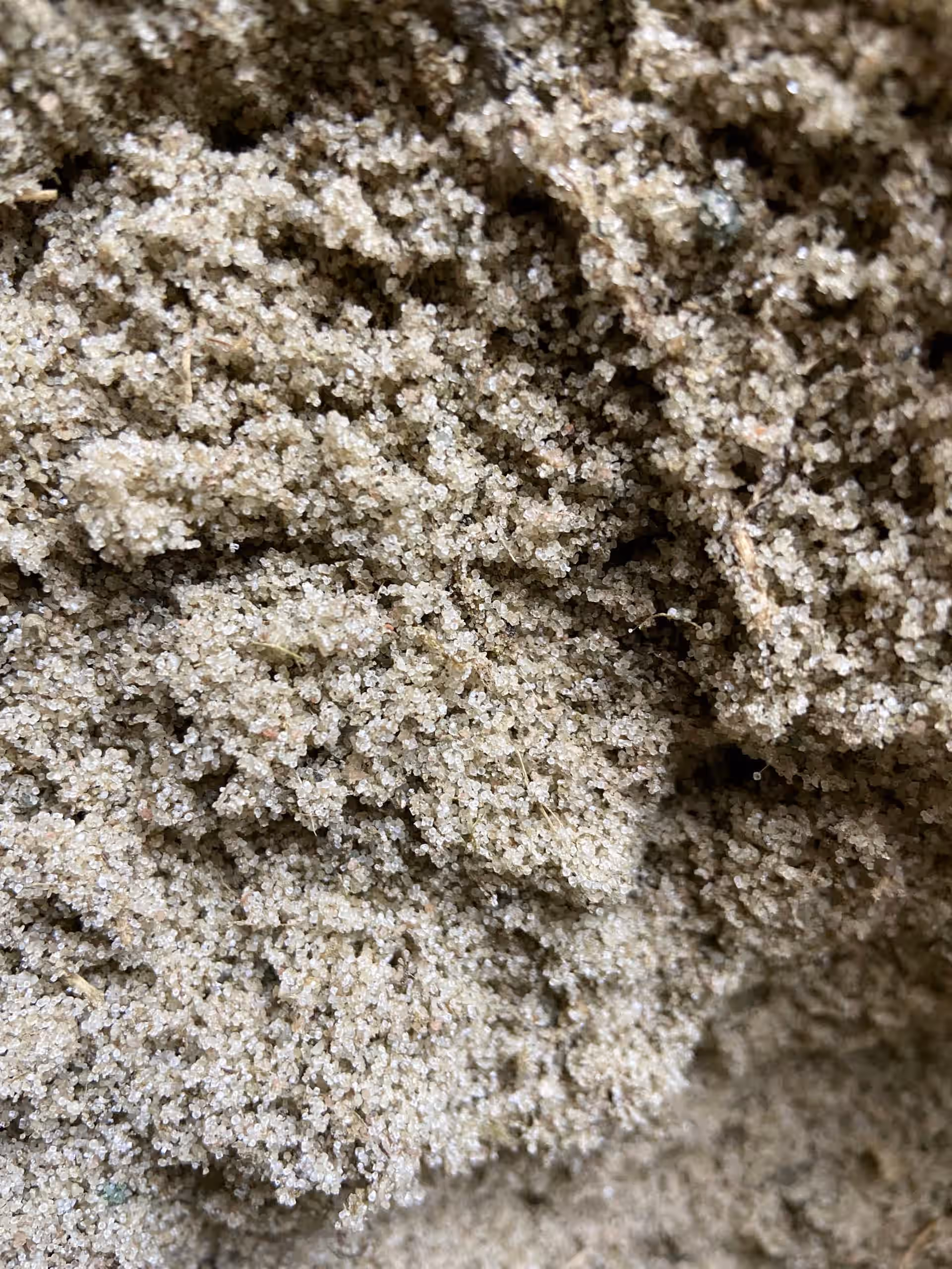 Herb Salt