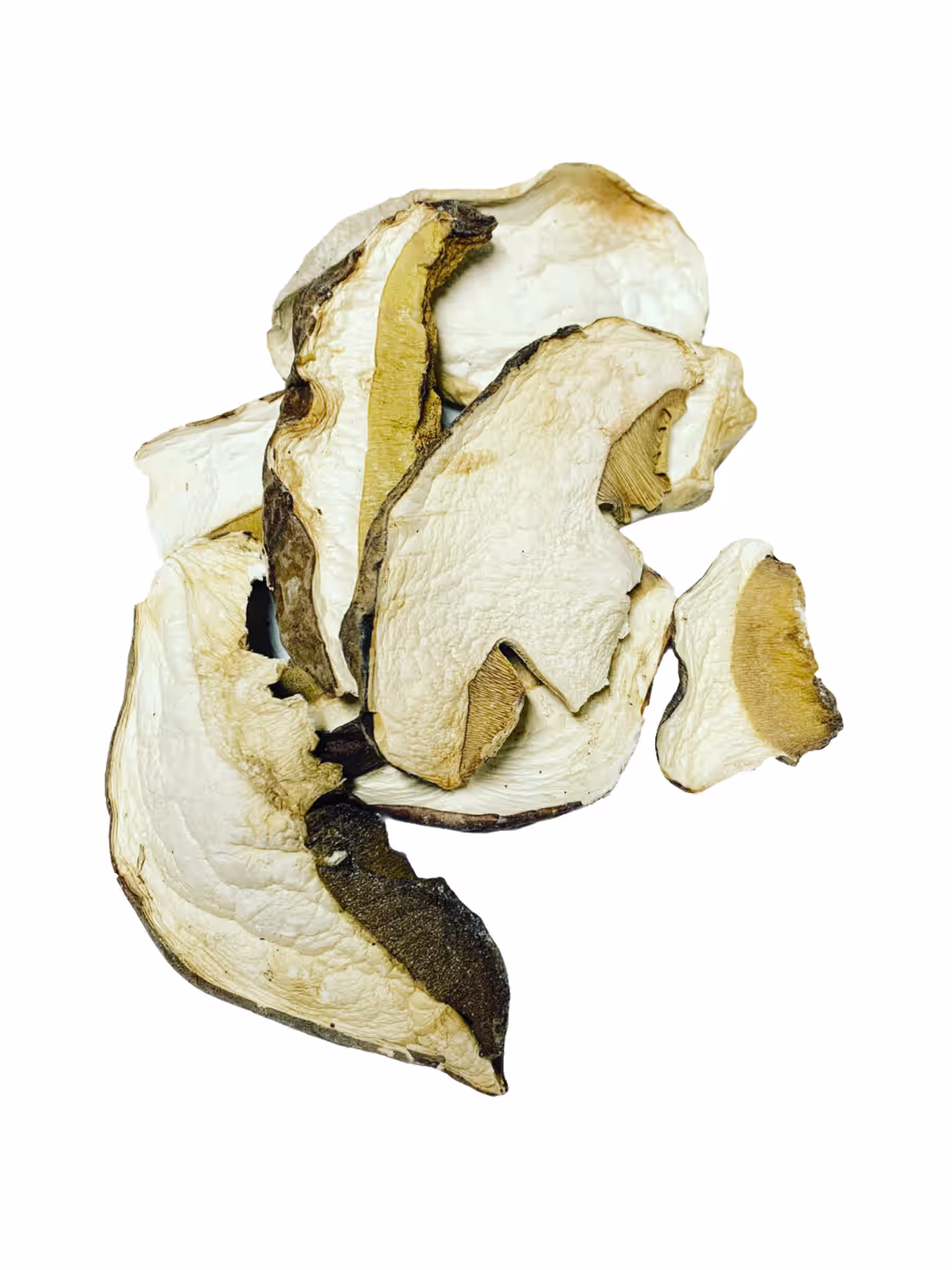 Dried Porcini Mushrooms