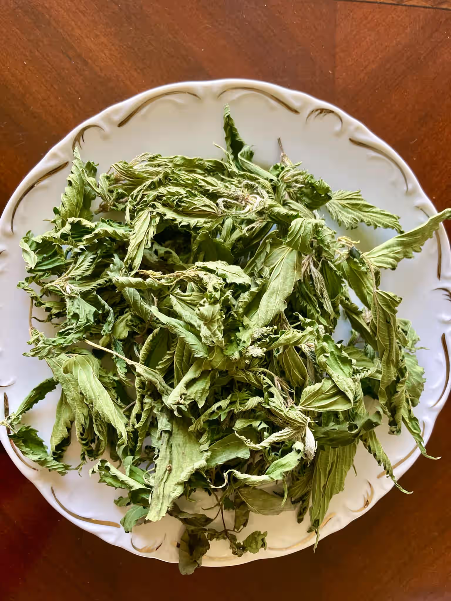 Wild Stinging Nettle – June 2025 Freshly Foraged & Dried, Allergy & Arthritis Support - Nutrient Dense