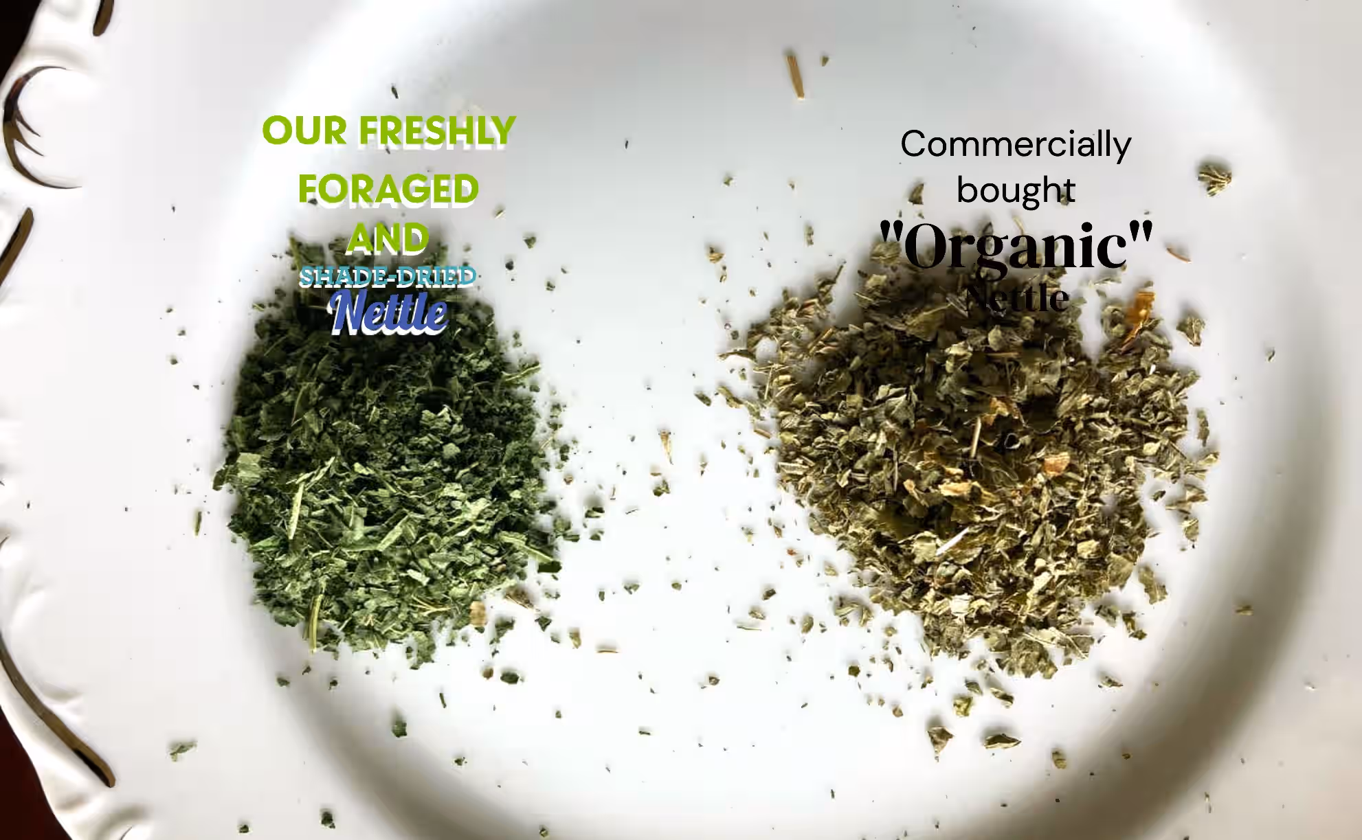 Wild Stinging Nettle – June 2025 Freshly Foraged & Dried, Allergy & Arthritis Support - Nutrient Dense