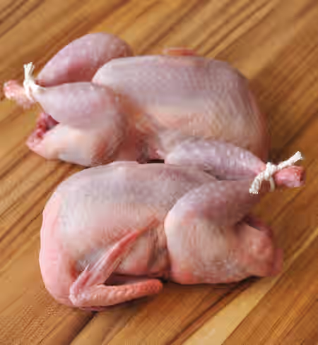 Quail - 4 Pack