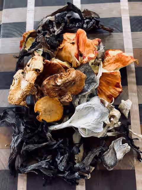 Gourmet Wild Mushroom Mix - Dried