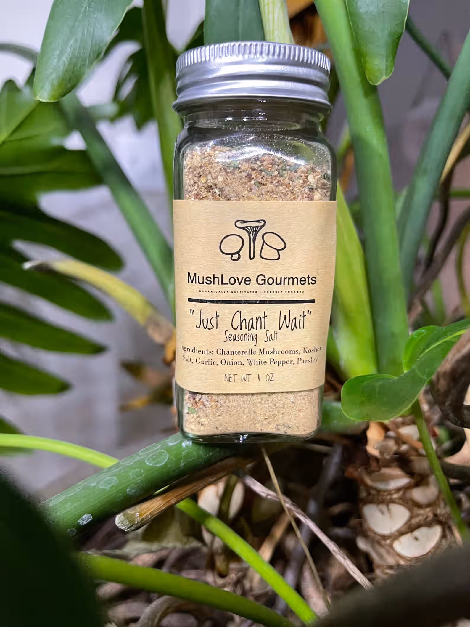 ‚ÄúJust Chant Wait‚Äù Chanterelle Seasoning Salt