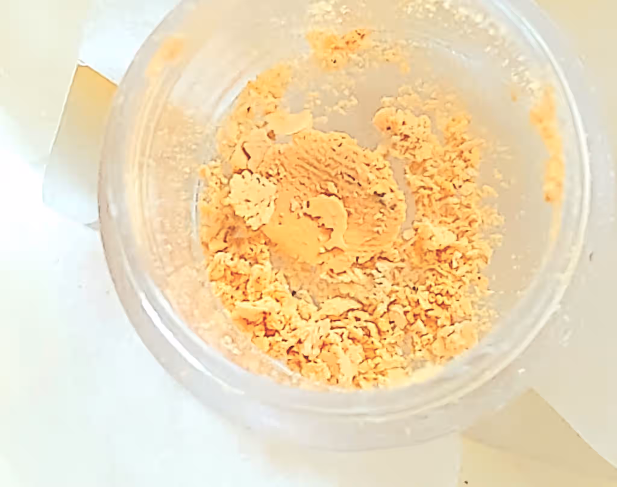 Pure Morel Spores - Specimen Included