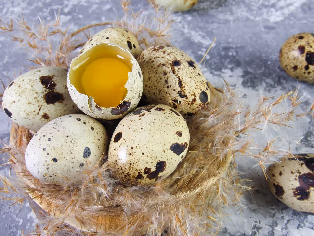 Organic Free Range Full-Bird Quail