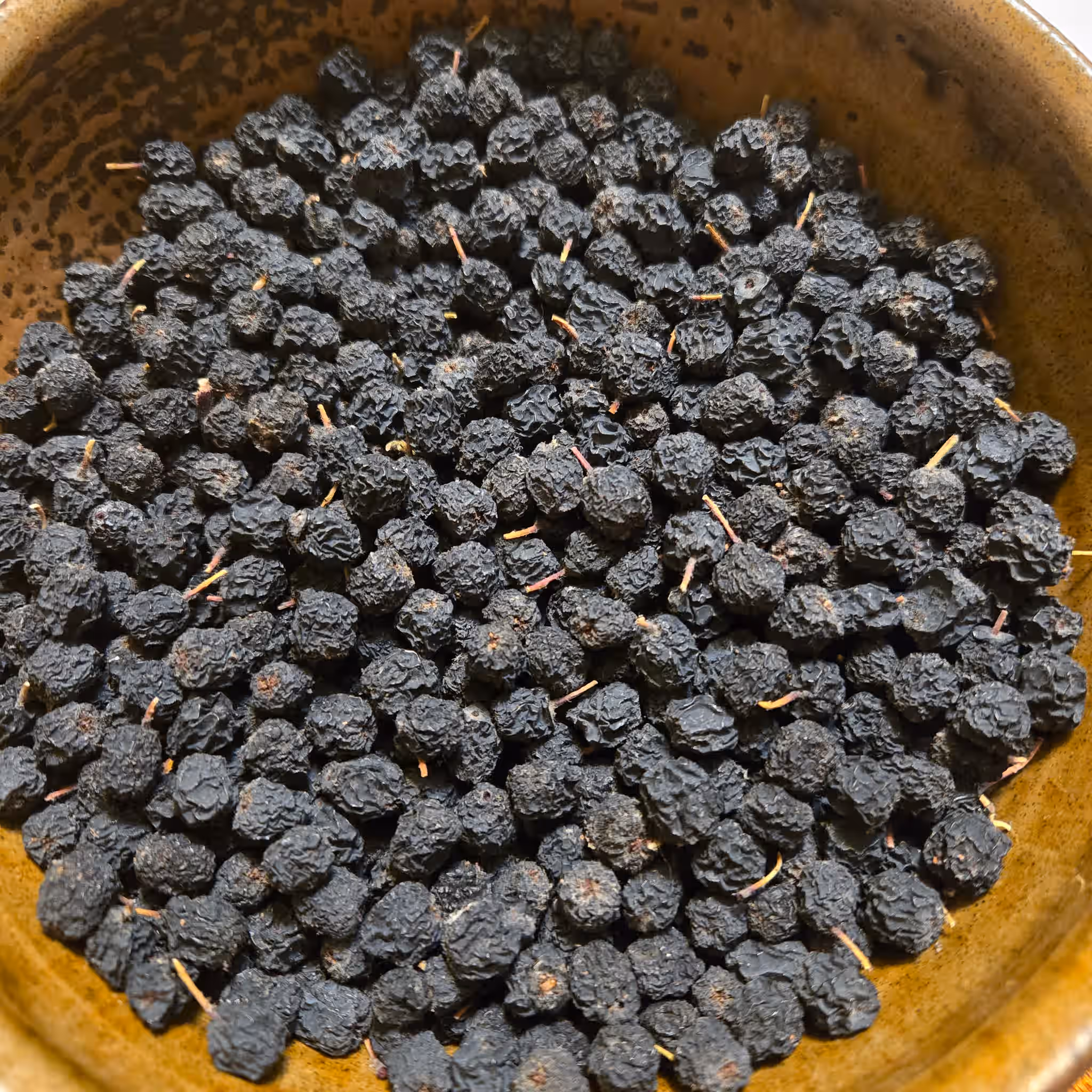 Aronia Berries Sun dried native fruit Northeastern Black Chokeberries