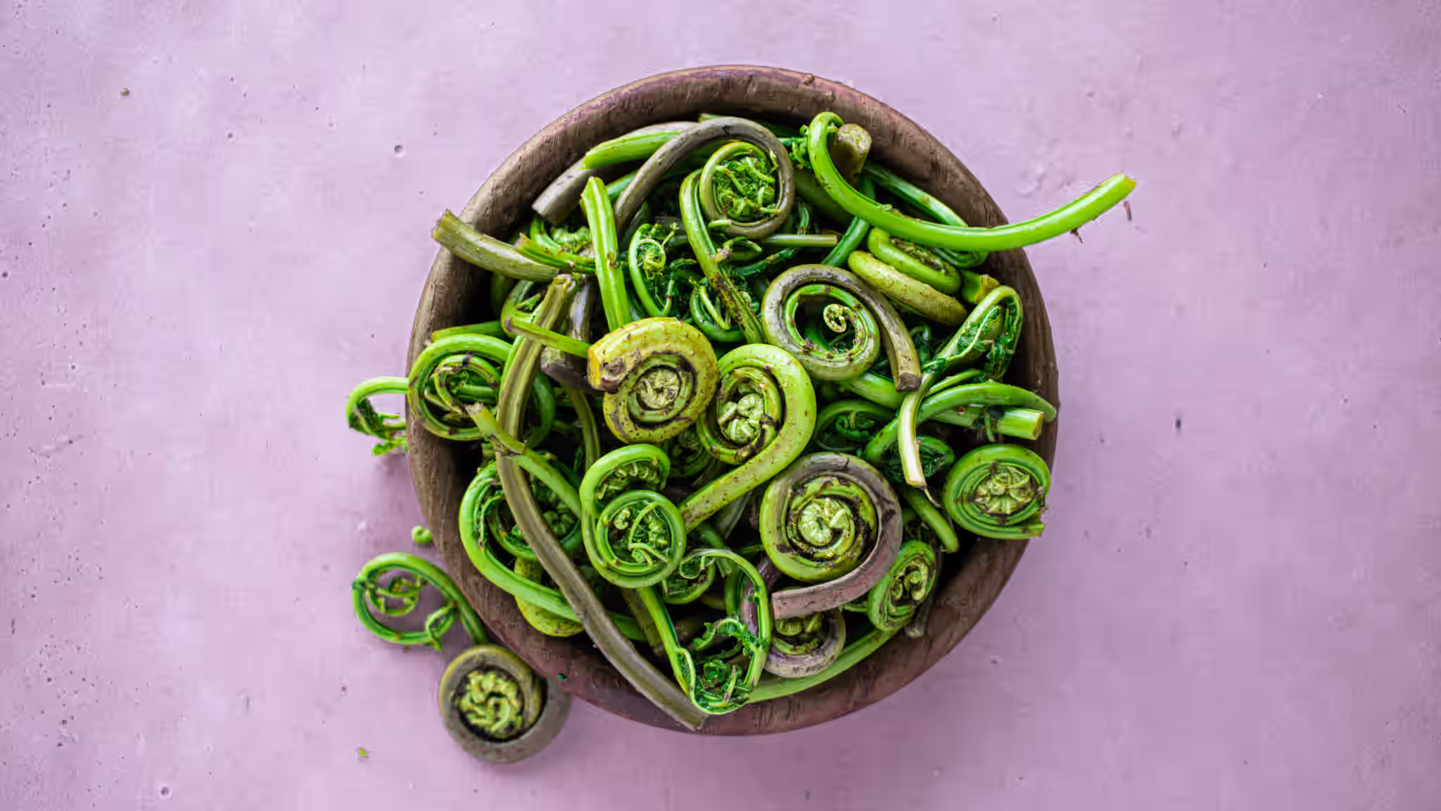 Fresh Fiddlehead Ferns