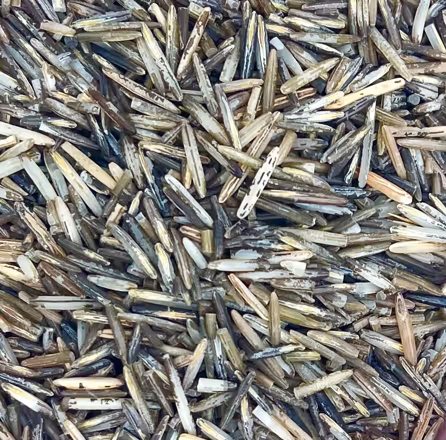Minnesota Hand Harvested Wild Rice Manoomin