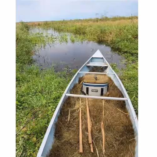 Minnesota Hand Harvested Wild Rice Manoomin
