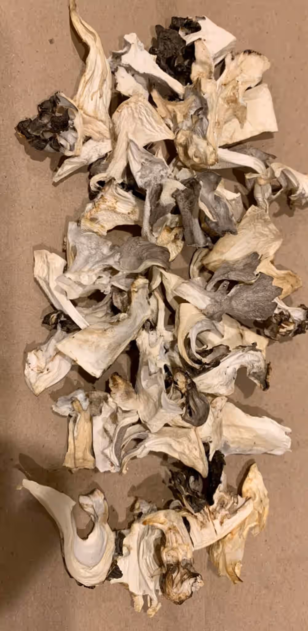 Dried Wild Hen of the Woods - 1 LB