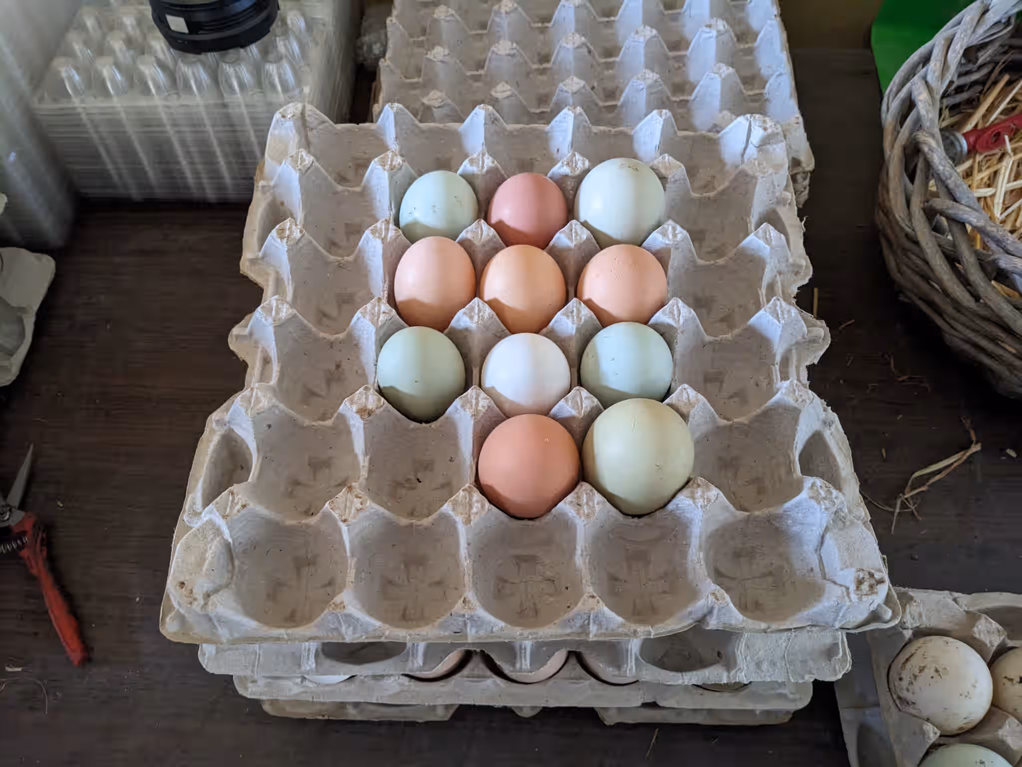 FRESH - Organic Heritage Chicken Eggs