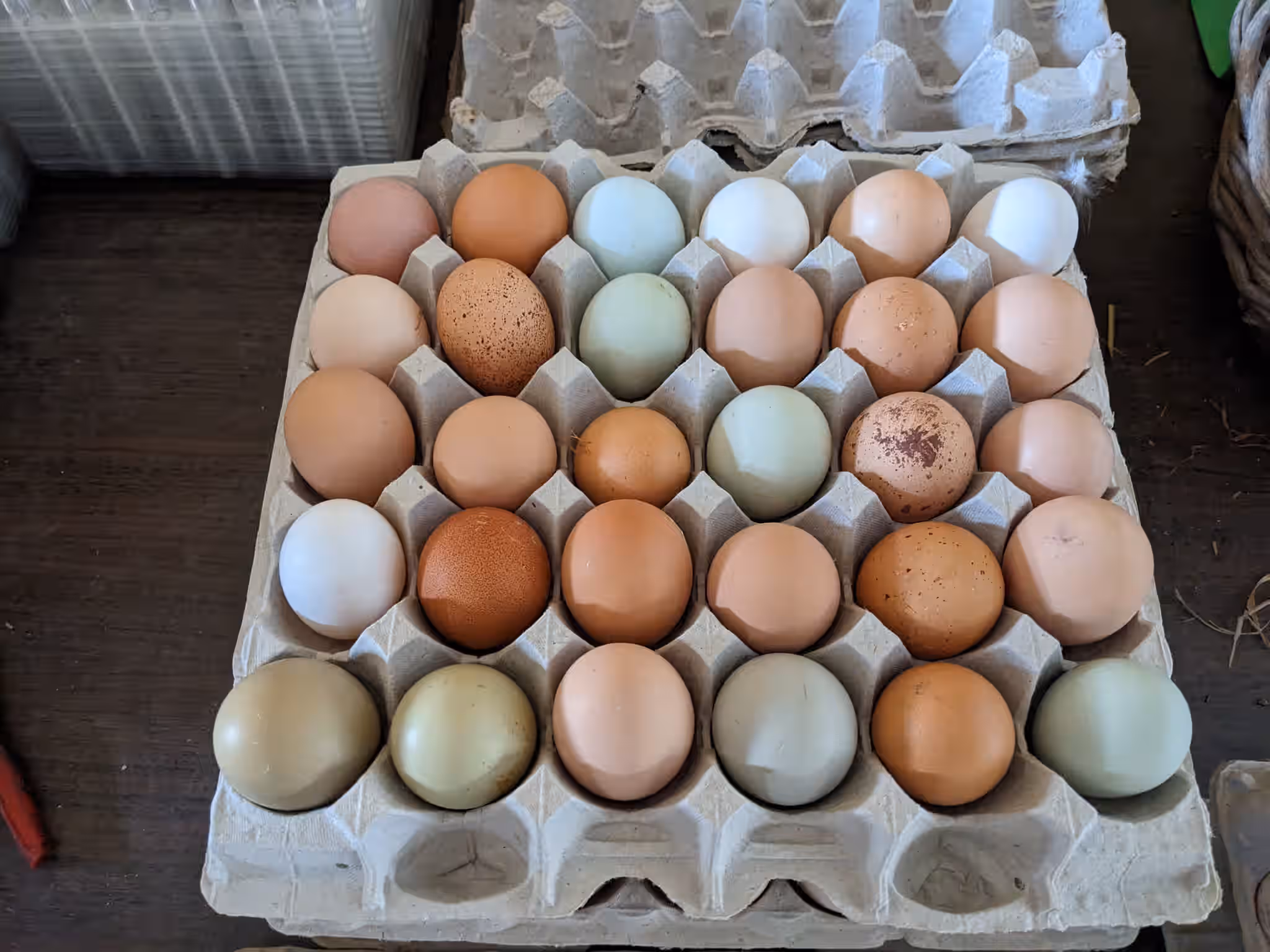 FRESH - Organic Heritage Chicken Eggs