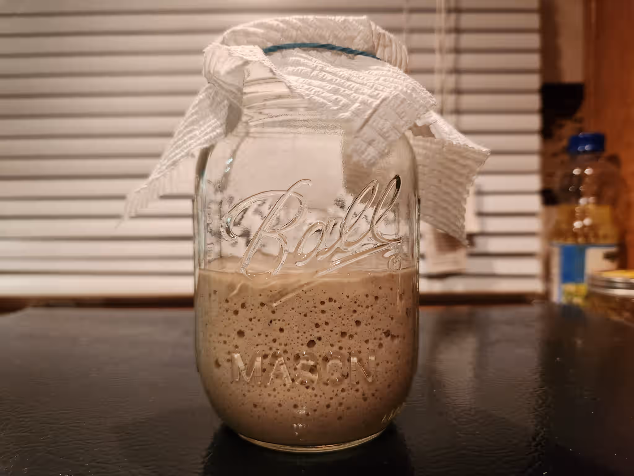 Wild Caught Dried Sourdough Starter
