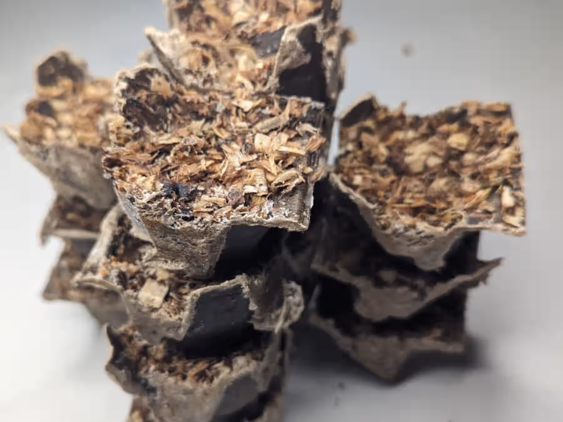 BlazeEase Fire Starters