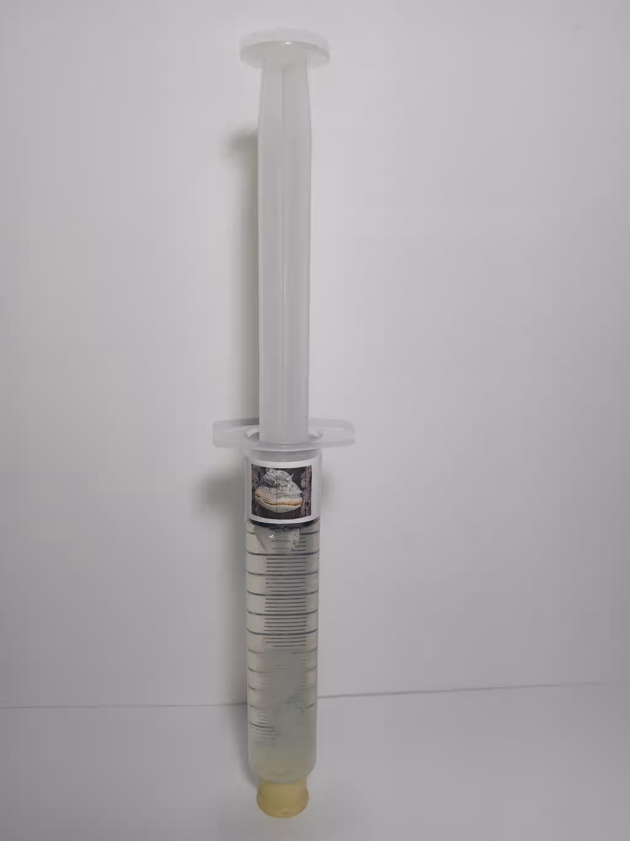 Agarikon Mushroom Mycelium Liquid Culture 12ml