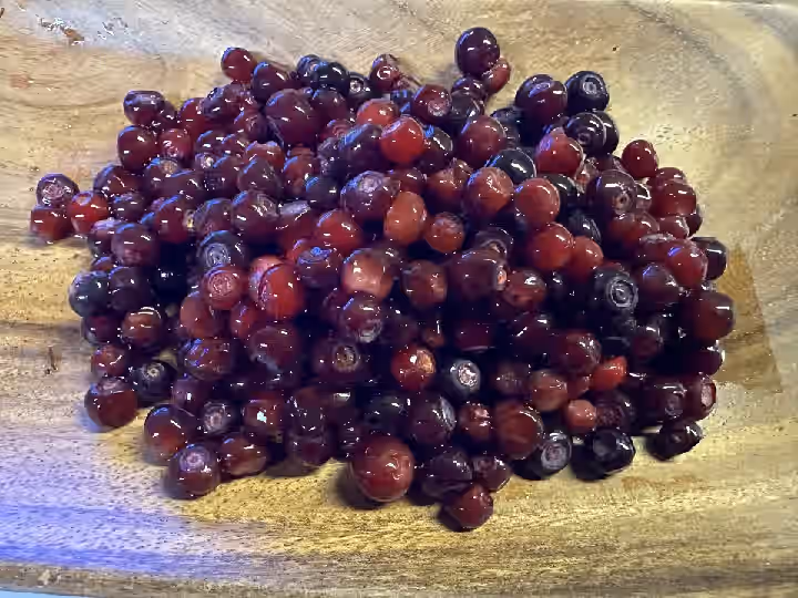 Fresh Huckleberries Wild Mountain