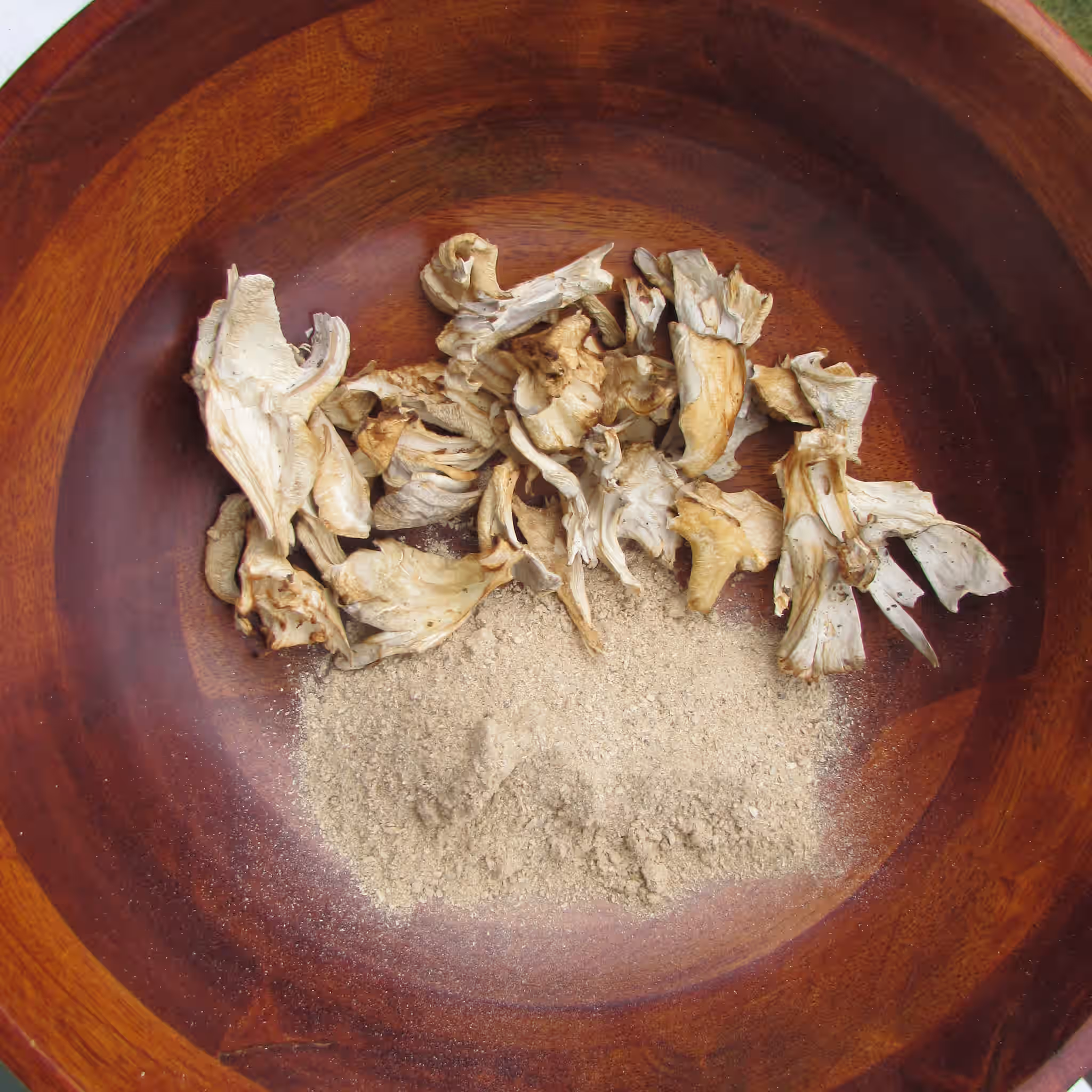 Wild 100% Powdered Maitake Mushroom/Hen of the Woods/ Sheepshead