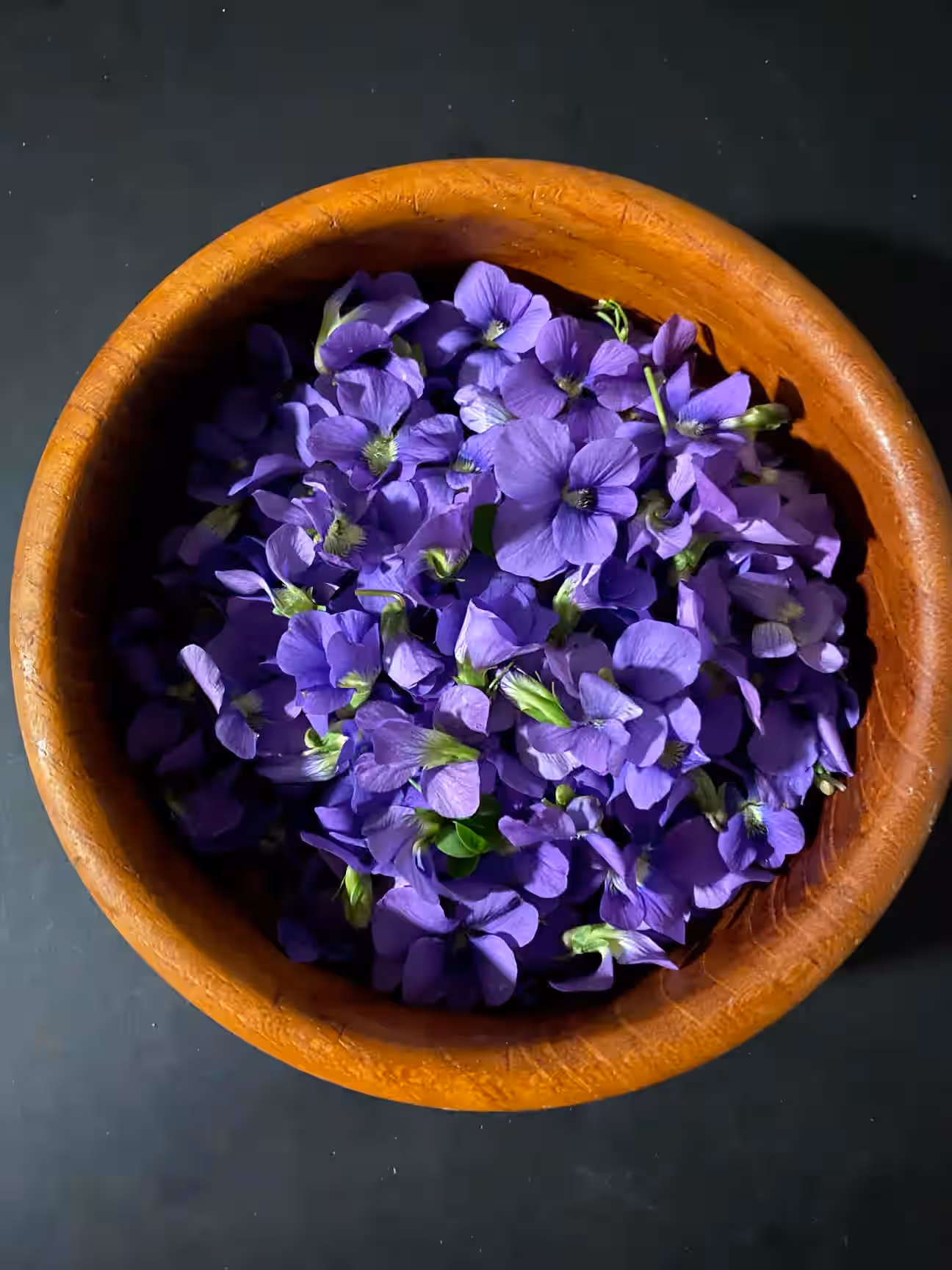Violets
