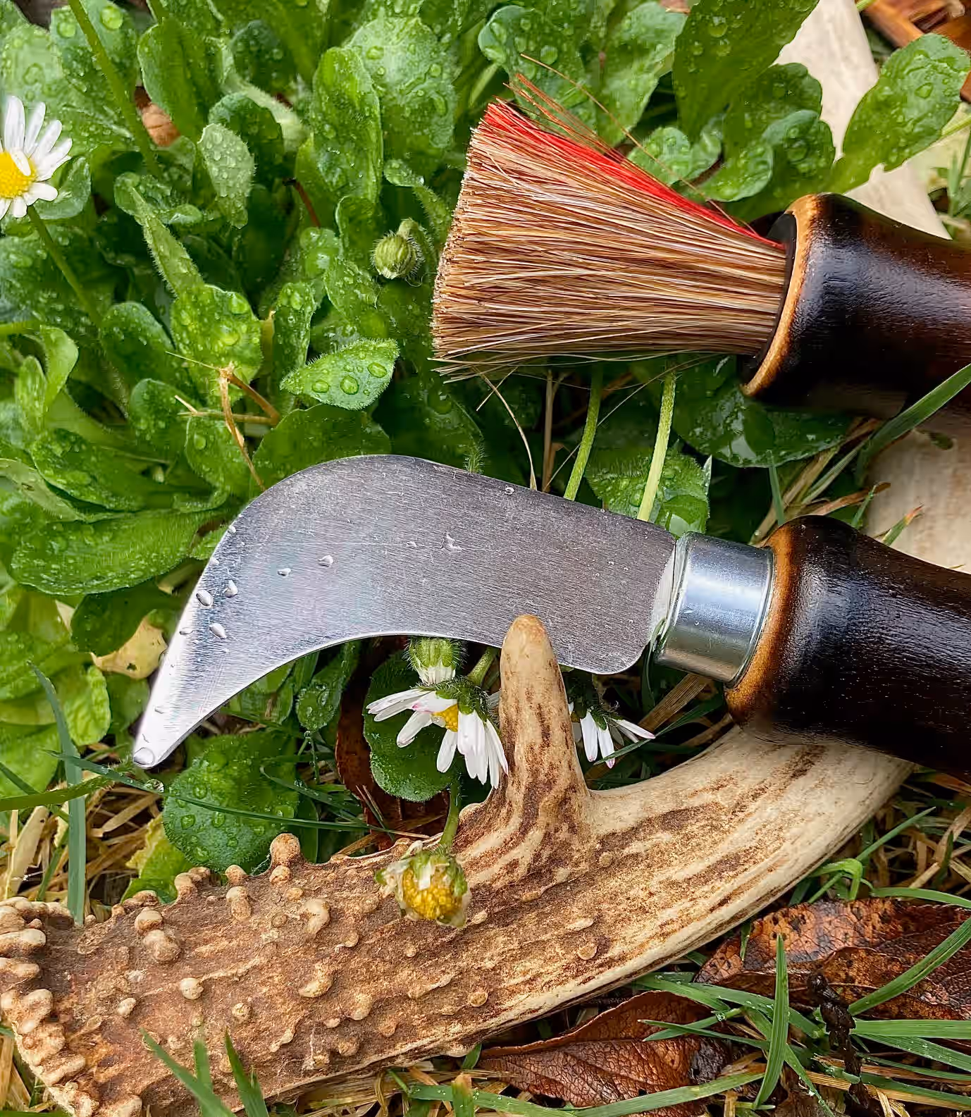 Mushroom Knife Foraging Knife w/ Brush