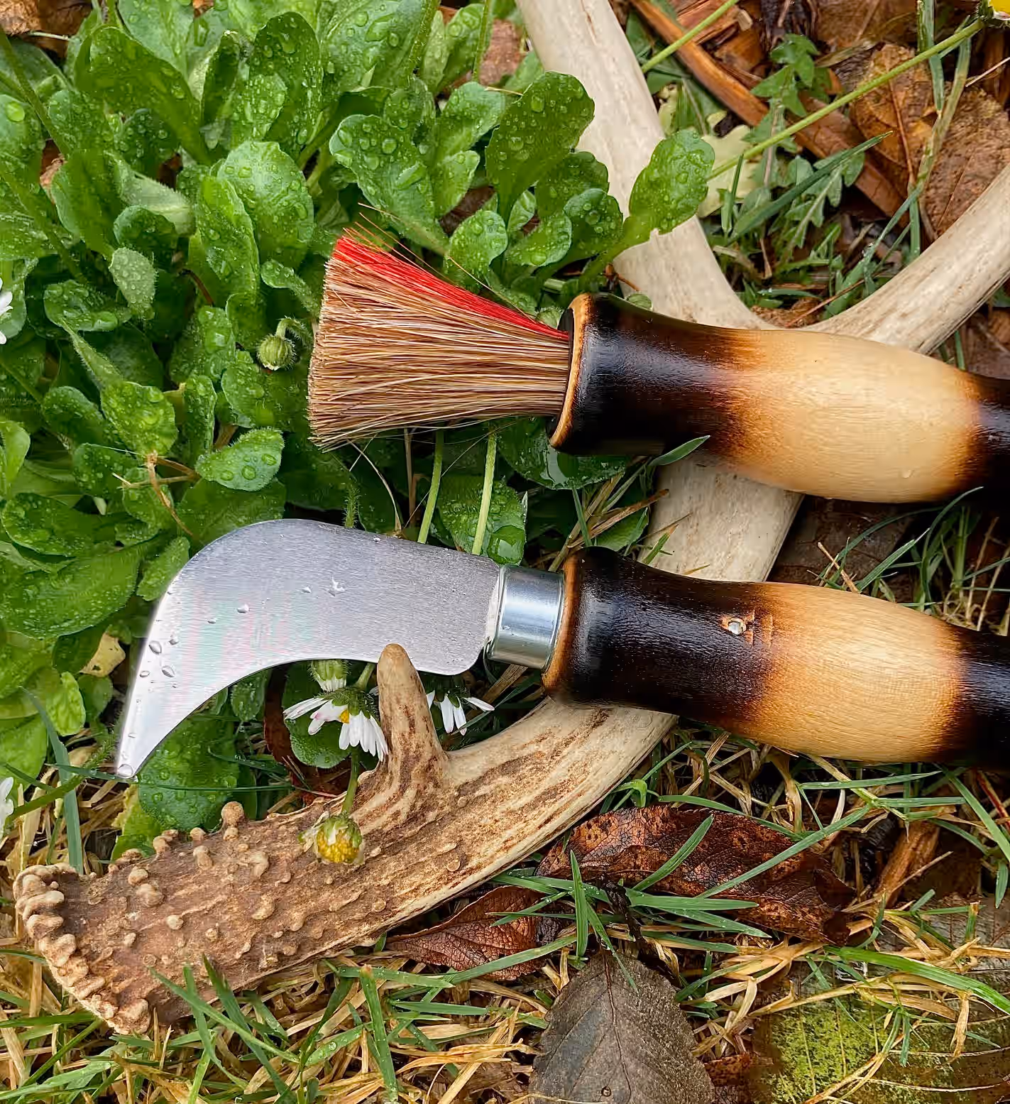 Mushroom Knife Foraging Knife w/ Brush