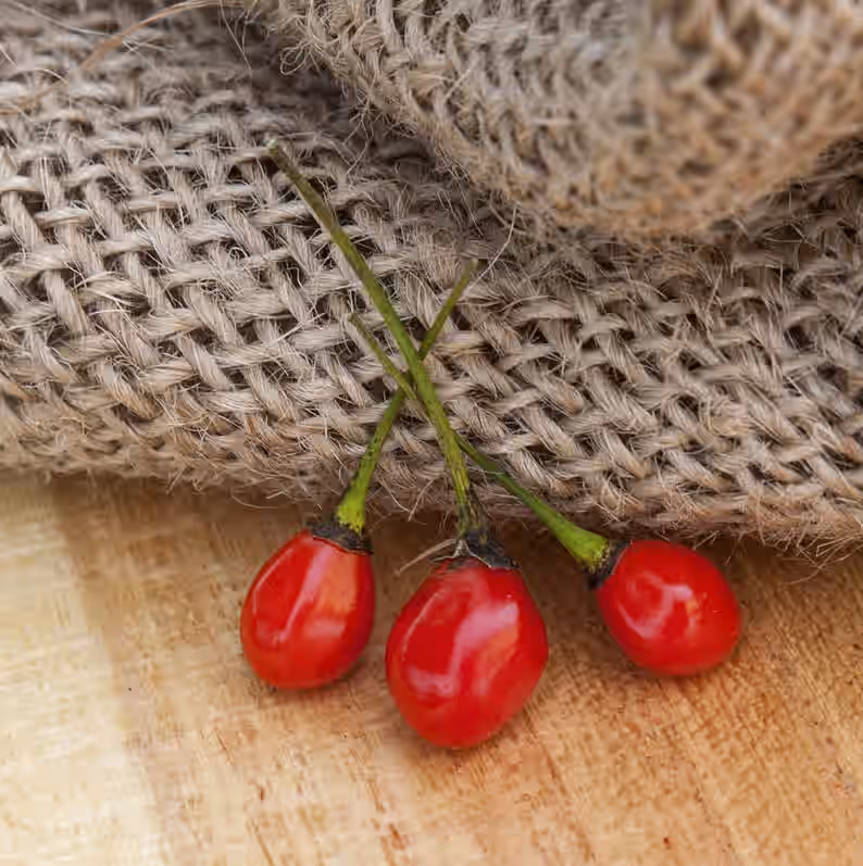 Texas Chiltepin Heirloom Pepper Premium Seed Packet