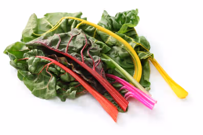 Bright Lights Swiss Chard Beet Tops Heirloom Premium Seed Packet