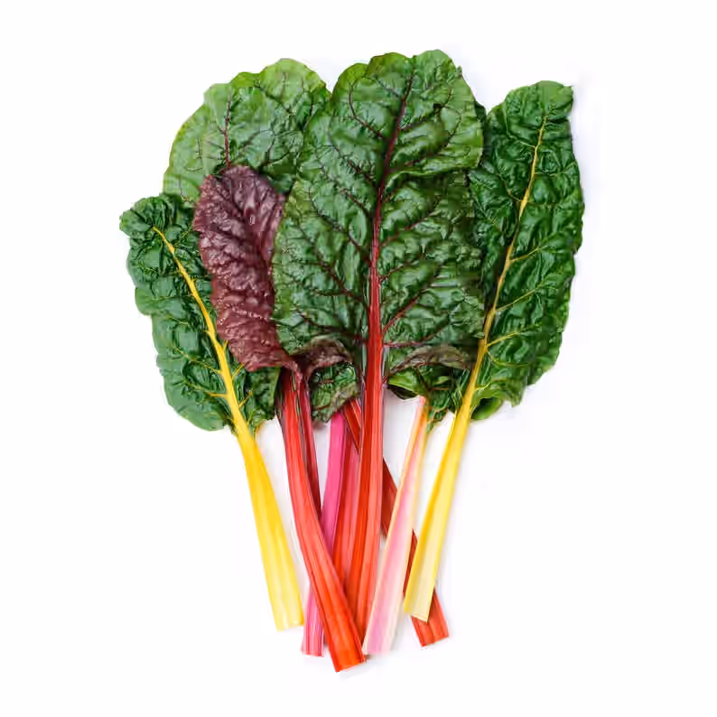 Bright Lights Swiss Chard Beet Tops Heirloom Premium Seed Packet