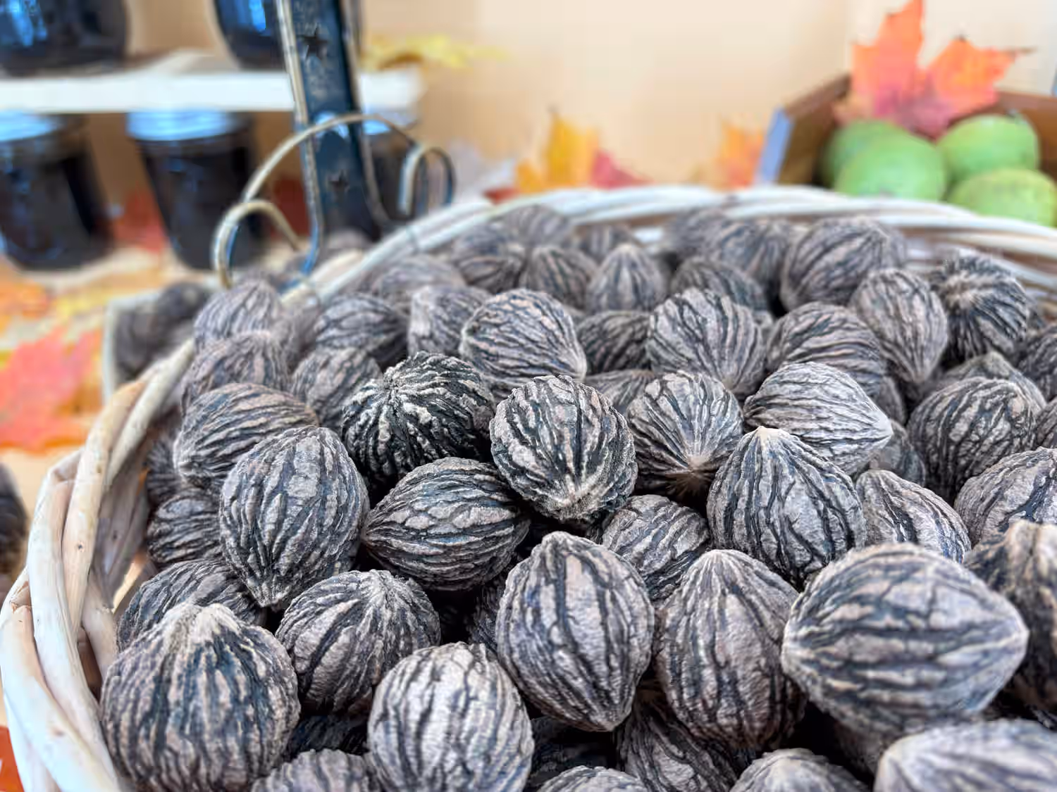 Wild Harvested Organic Black Walnuts In Shell: 1 Pound