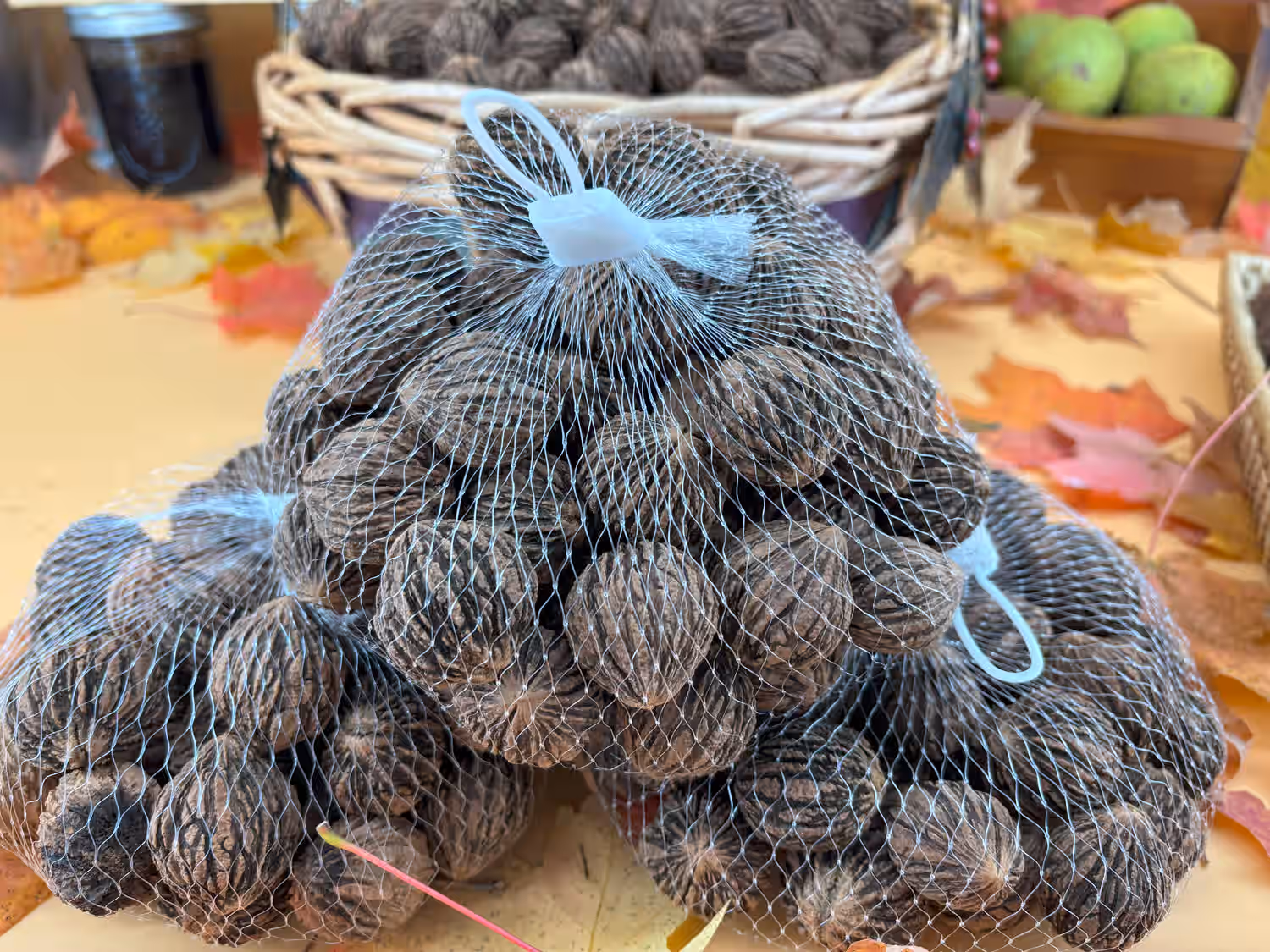 Wild Harvested Organic Black Walnuts In Shell: 1 Pound