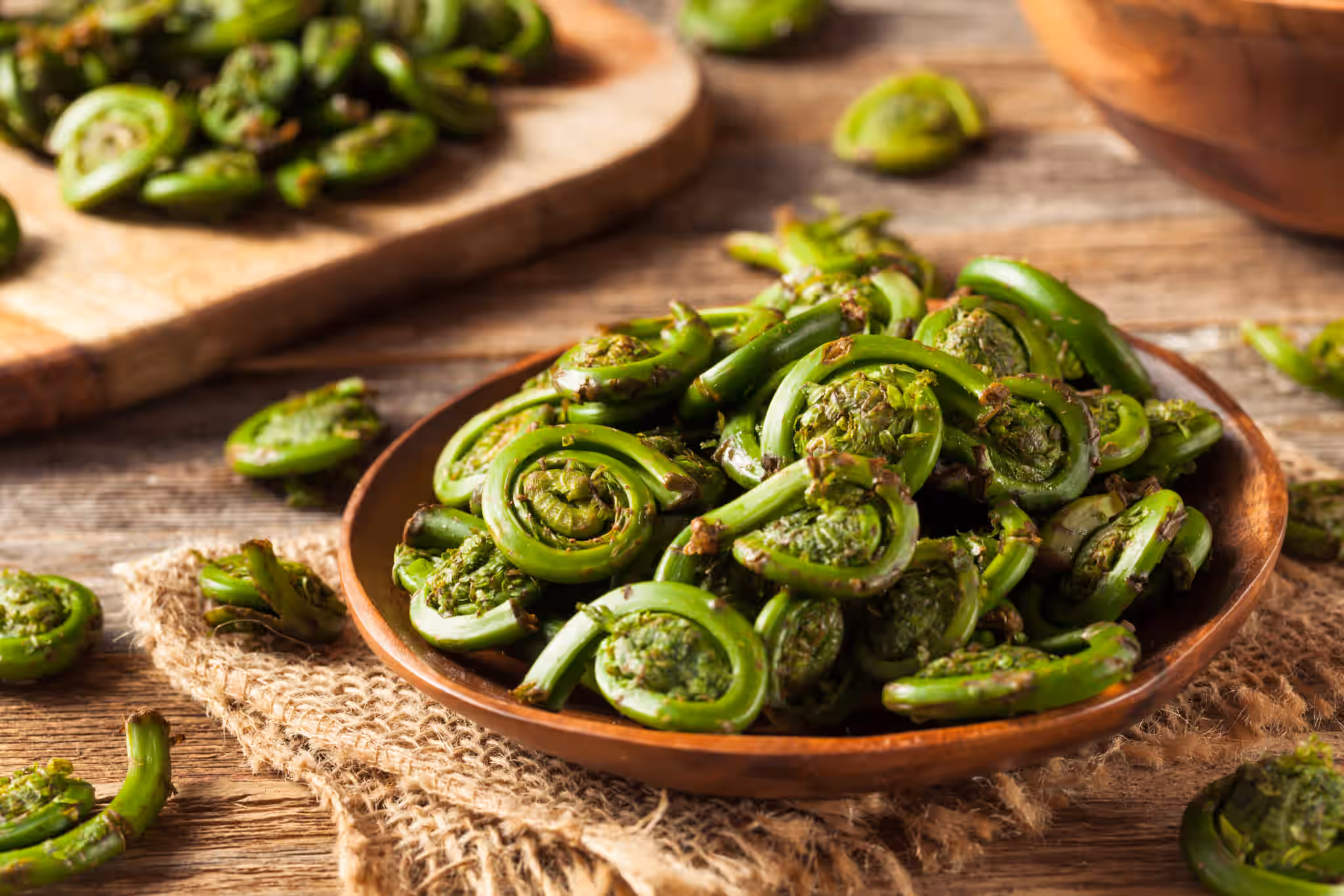 Fresh Vermont Fiddleheads 1lb