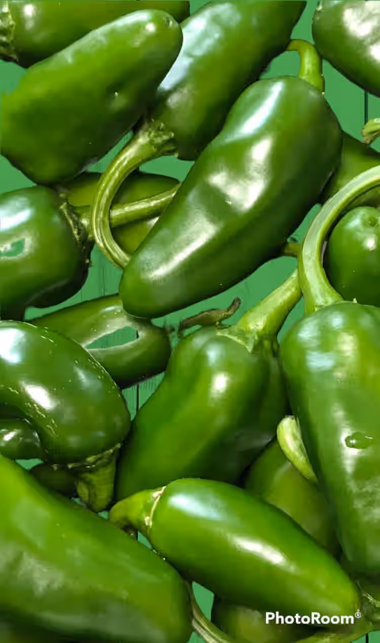 Jalape√±o Festive Spread ü´ëü´ëü´ë