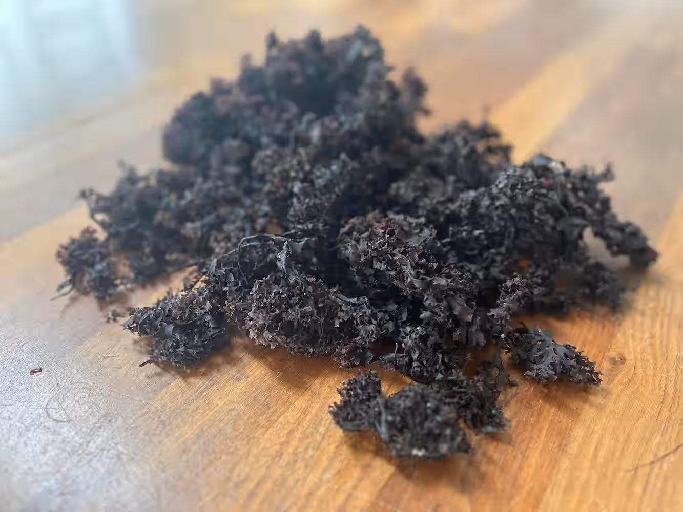 Sea Moss