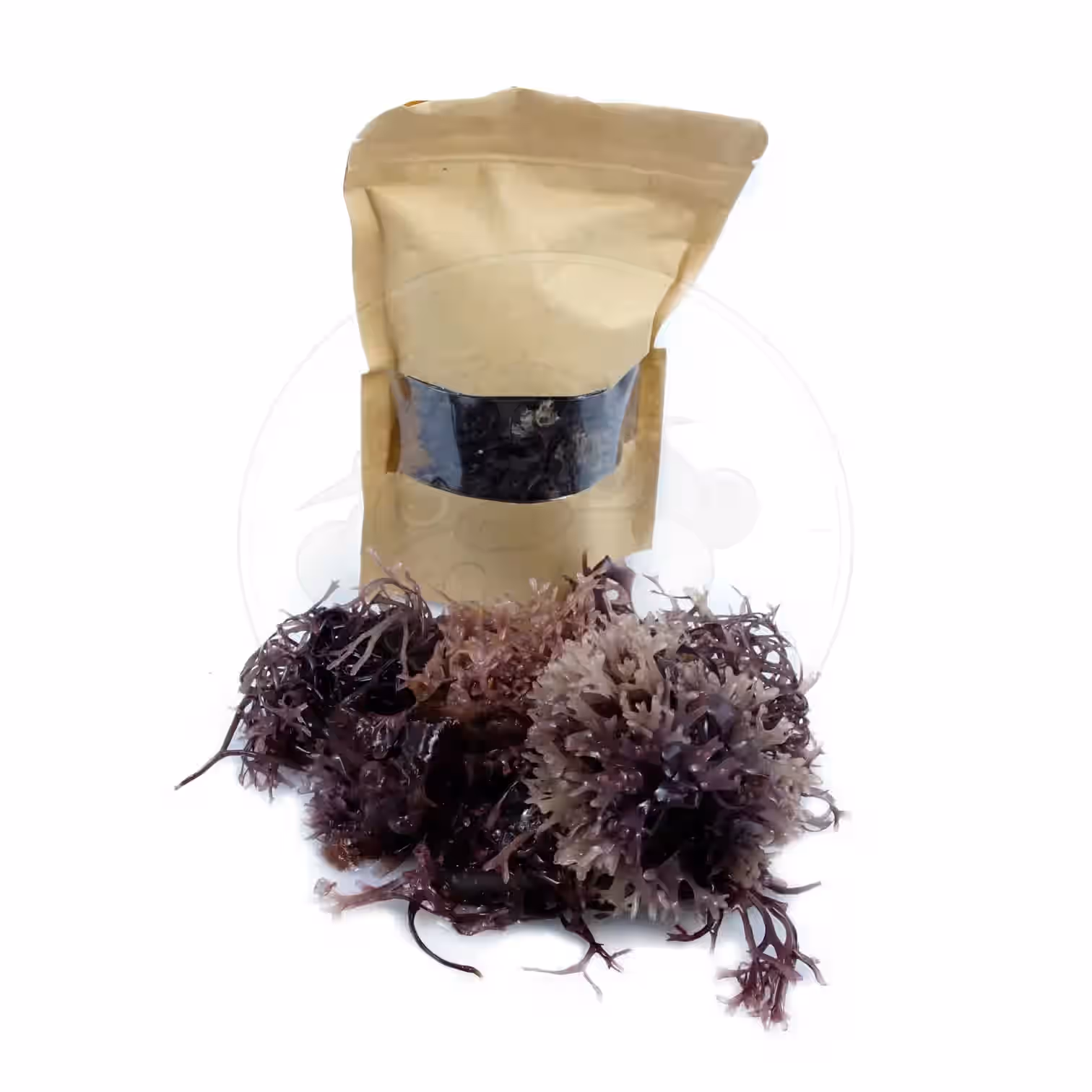 IRISH SEA MOSS