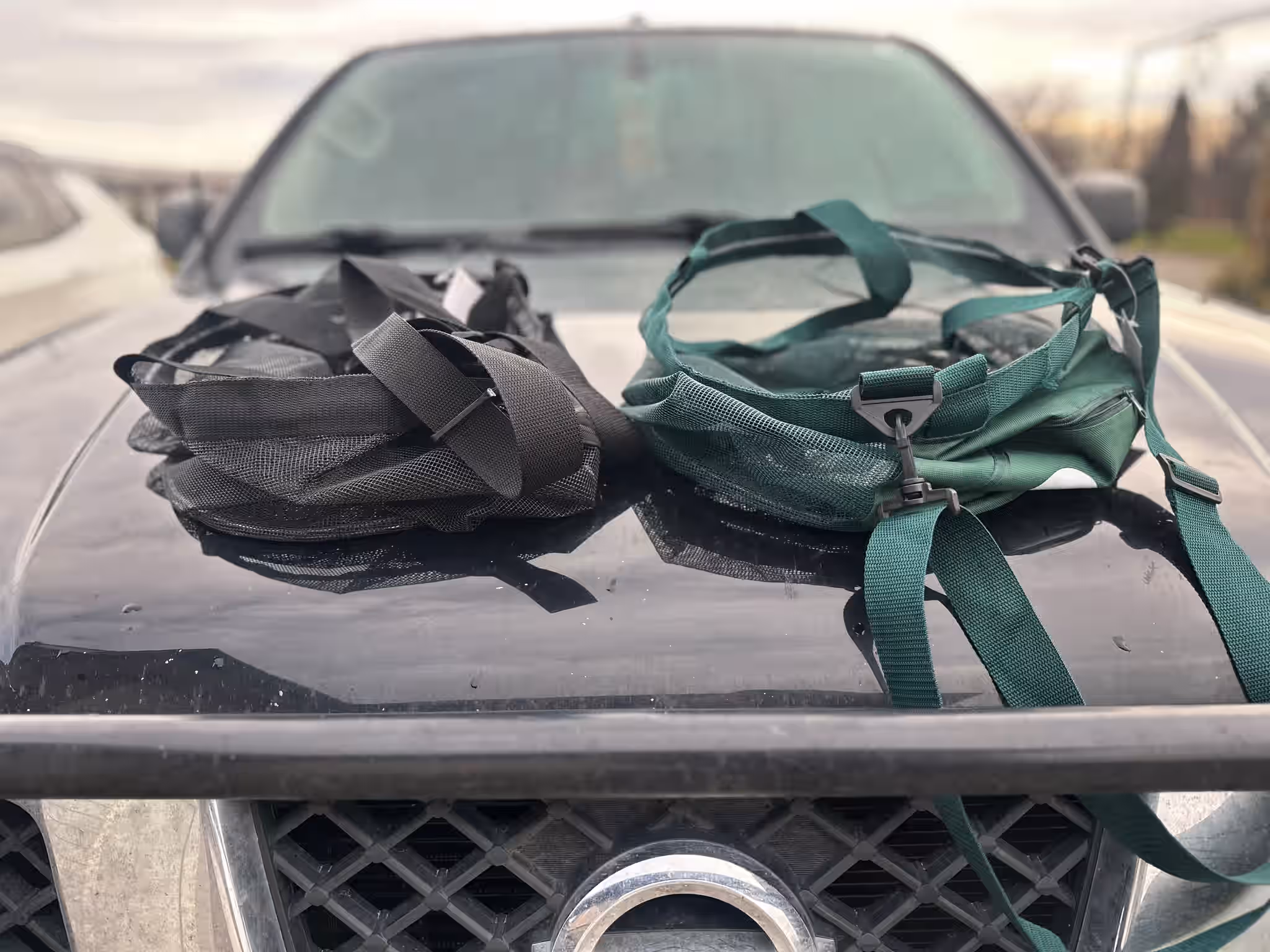 Mushroom Harvesting Hunting Bag