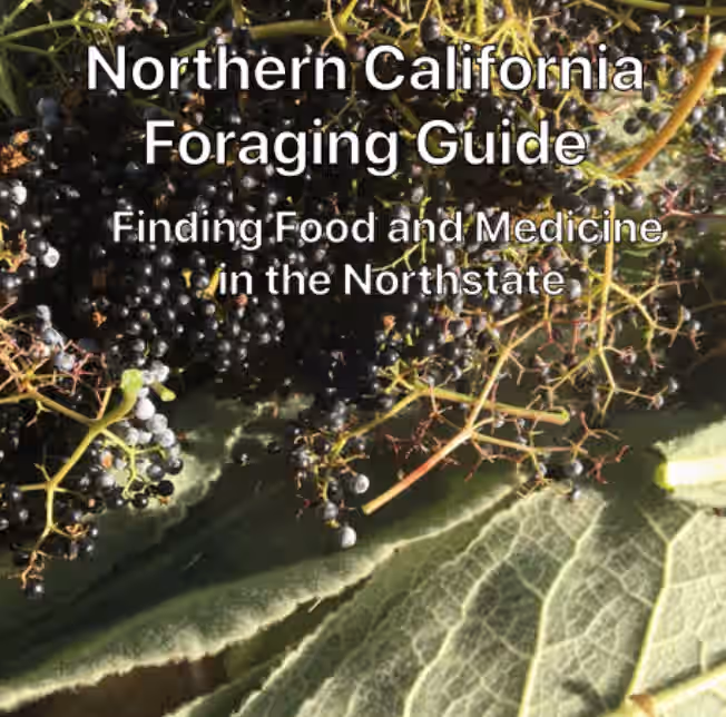 Foraging Guide eBook Download