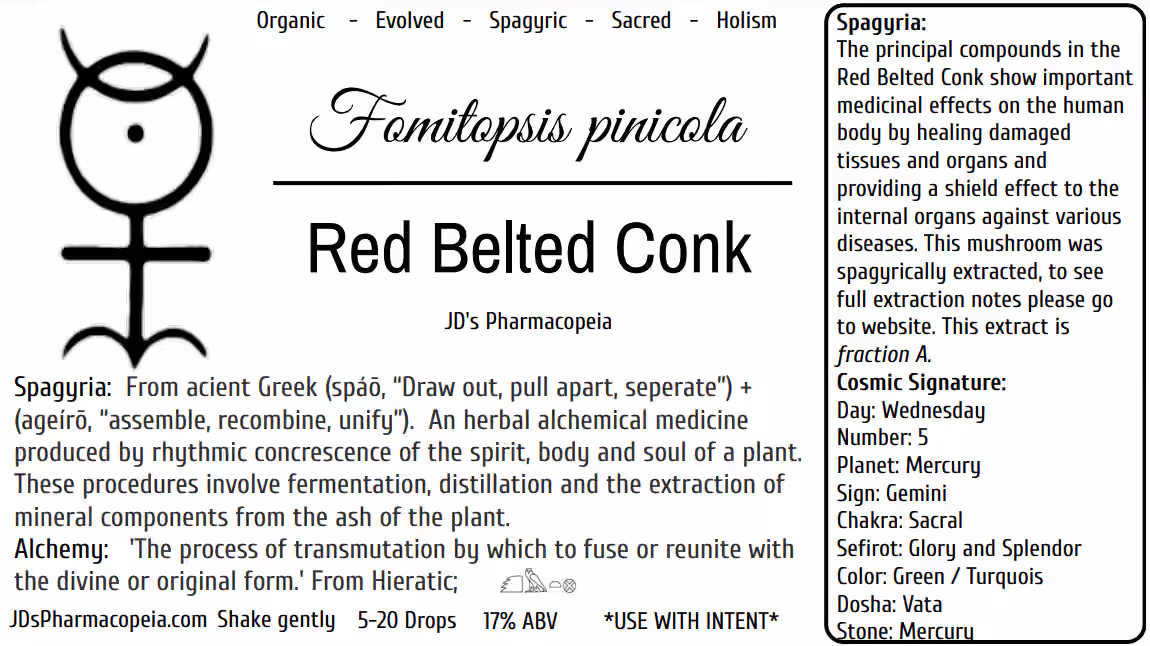Red Belted Conk - Fomitopsis pinicola