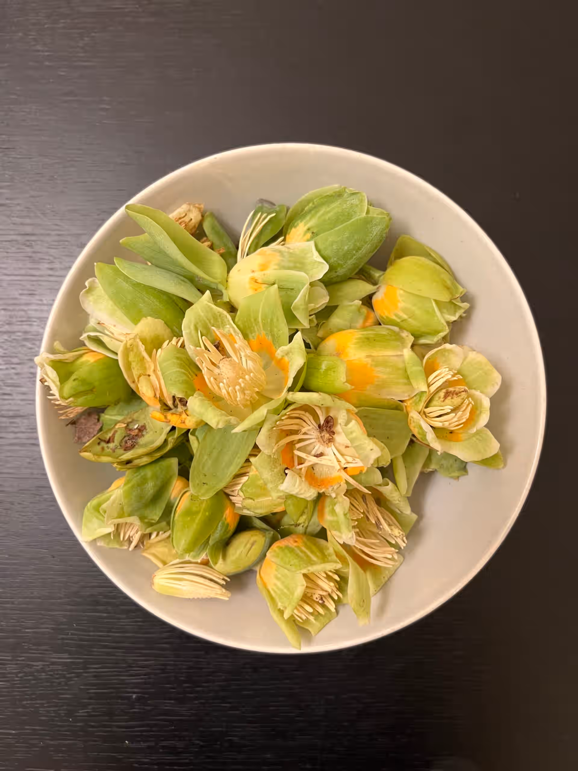 RARE - Tulip Poplar Flowers - Fresh