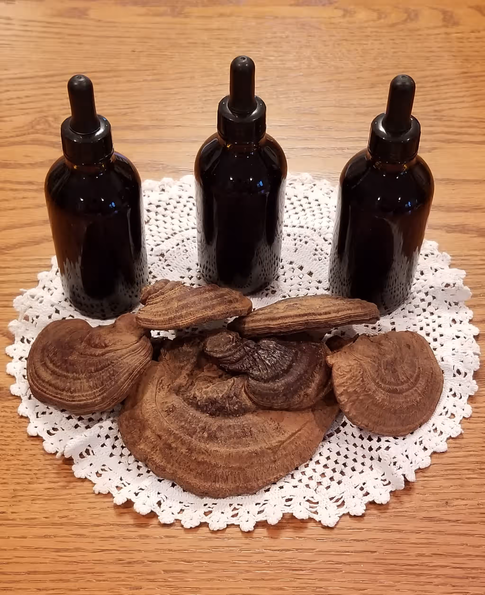 Reishi Mushroom Tincture