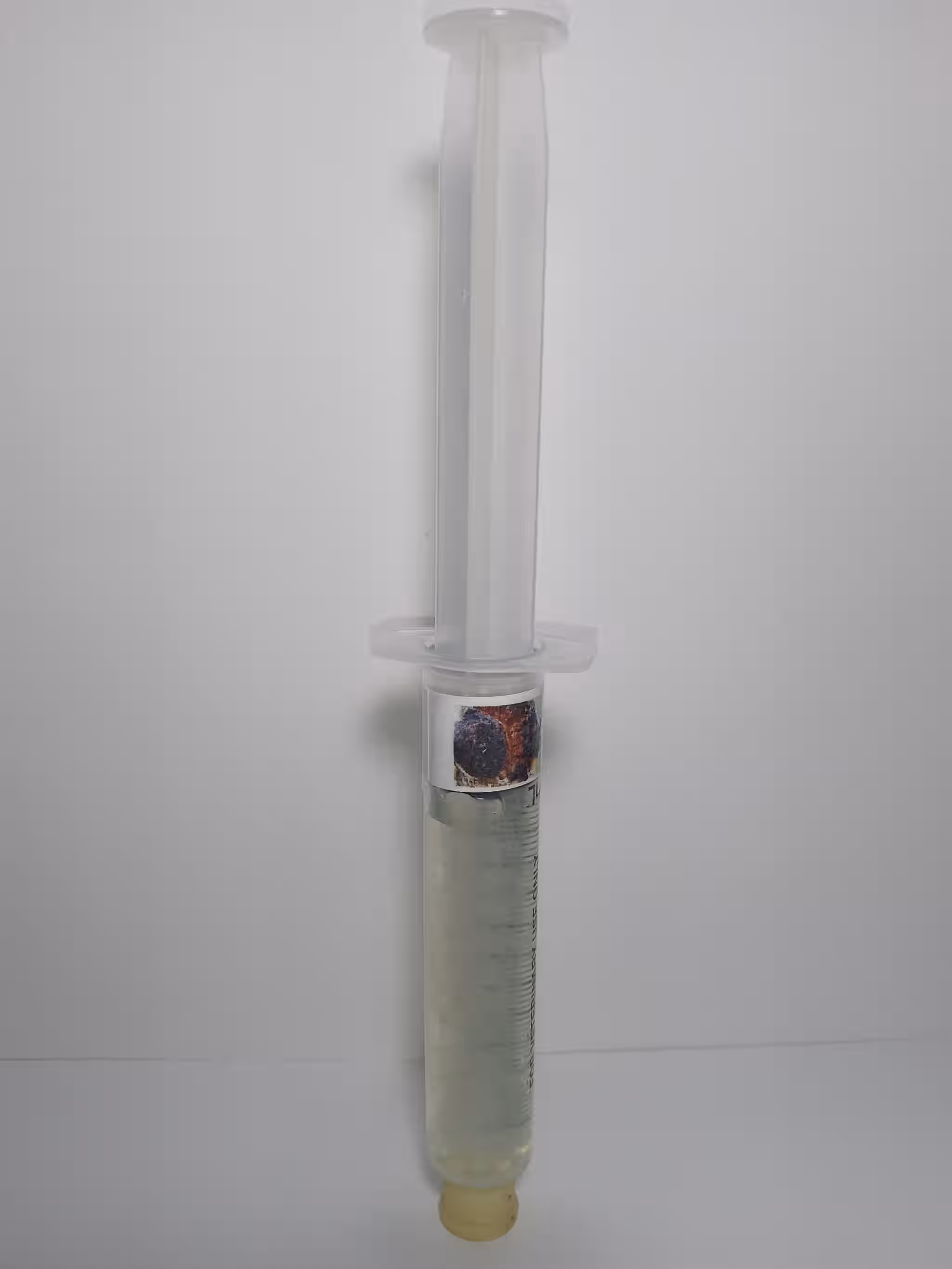 Chaga Mushroom Mycelium Liquid Culture 12ml