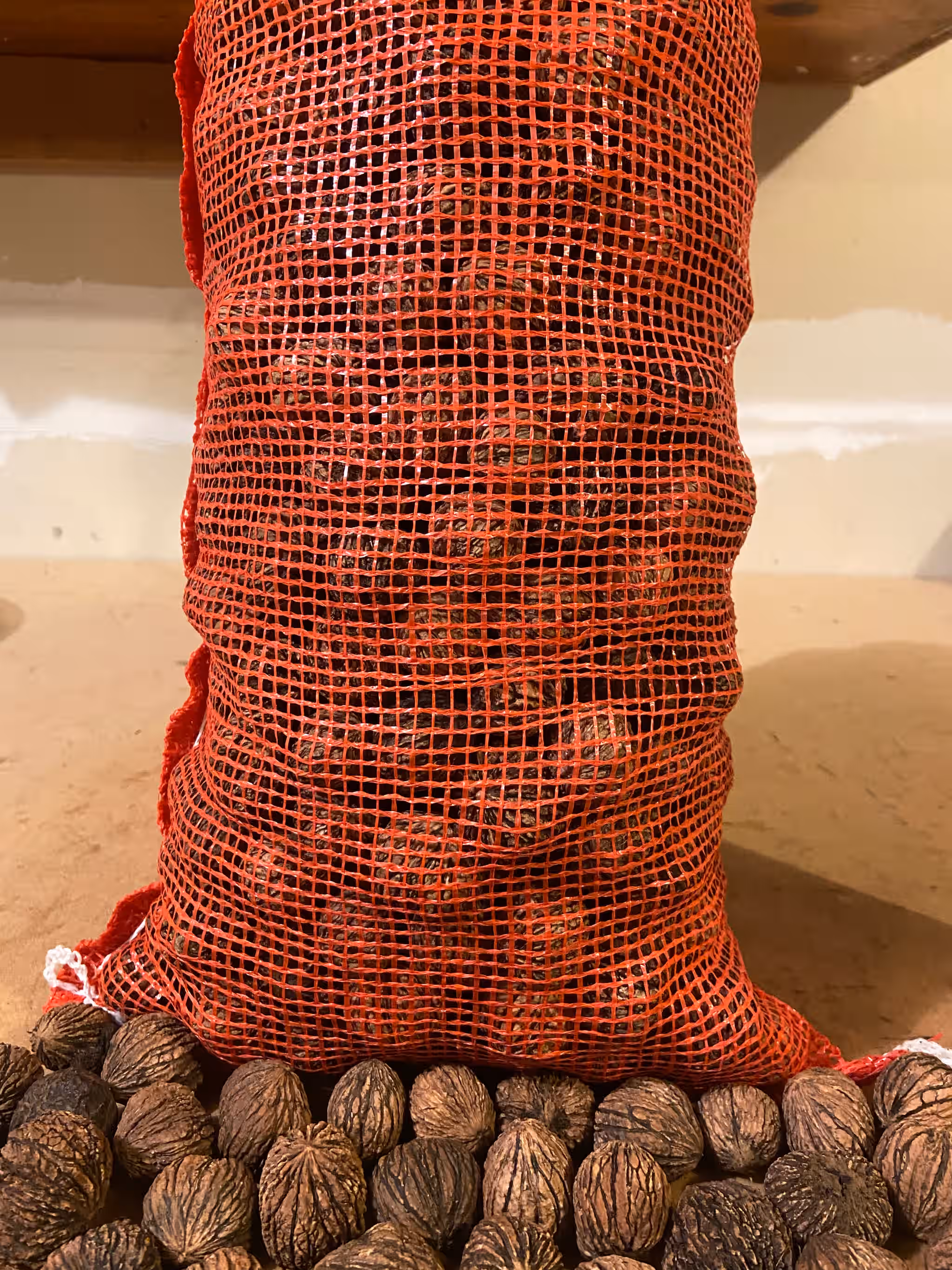 Eastern Black Walnuts in Shell - 5lb - Wild Foraged