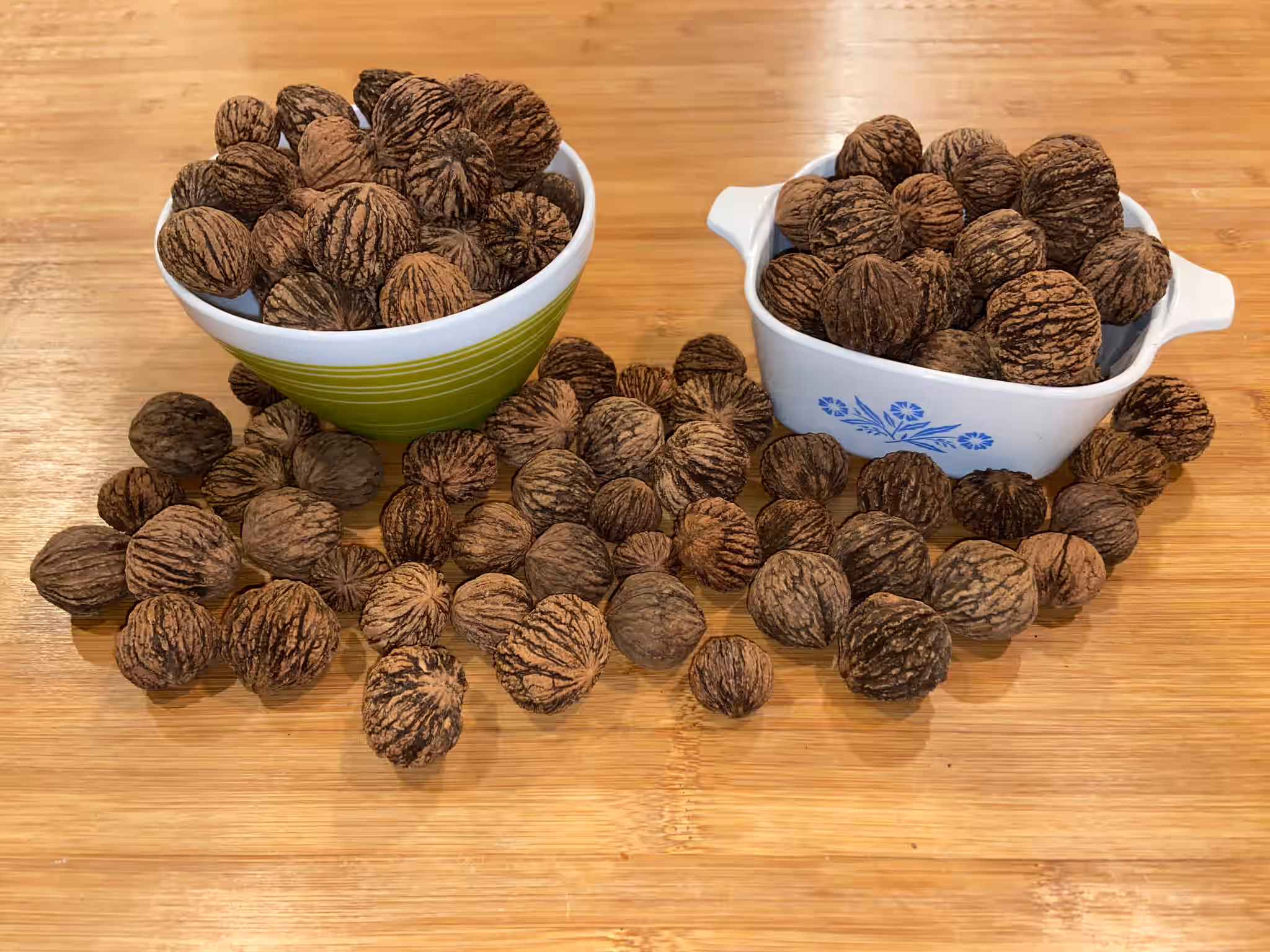 Eastern Black Walnuts in Shell - 5lb - Wild Foraged 3 Eastern Black Walnuts in Shell - 5lb - Wild Foraged