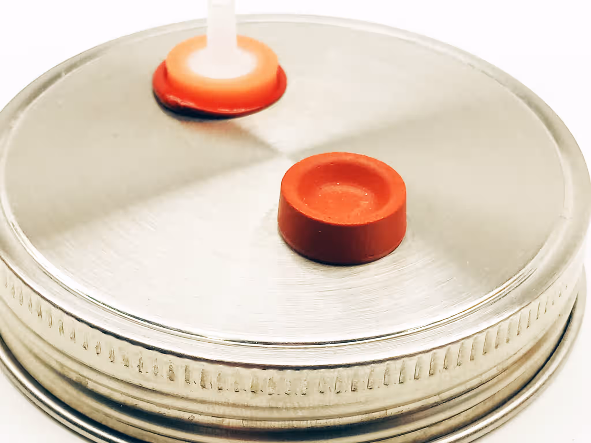 6 Stainless Steel Liquid Culture Jar Lids - AirPort Wide Mouth Metal Rust Proof