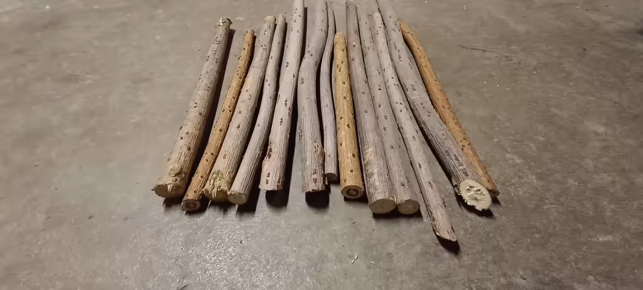 Elderberry Wood (Sticks)