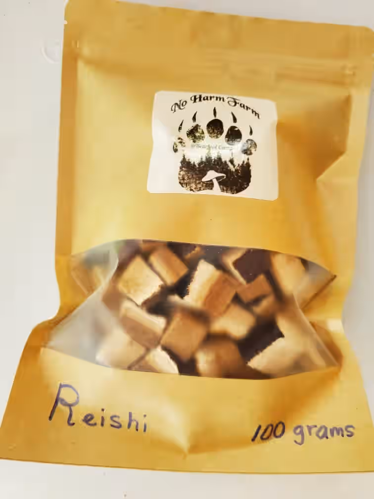 Red Reishi Mushrooms, Wild Foraged and Sundried (Tincture Kit)