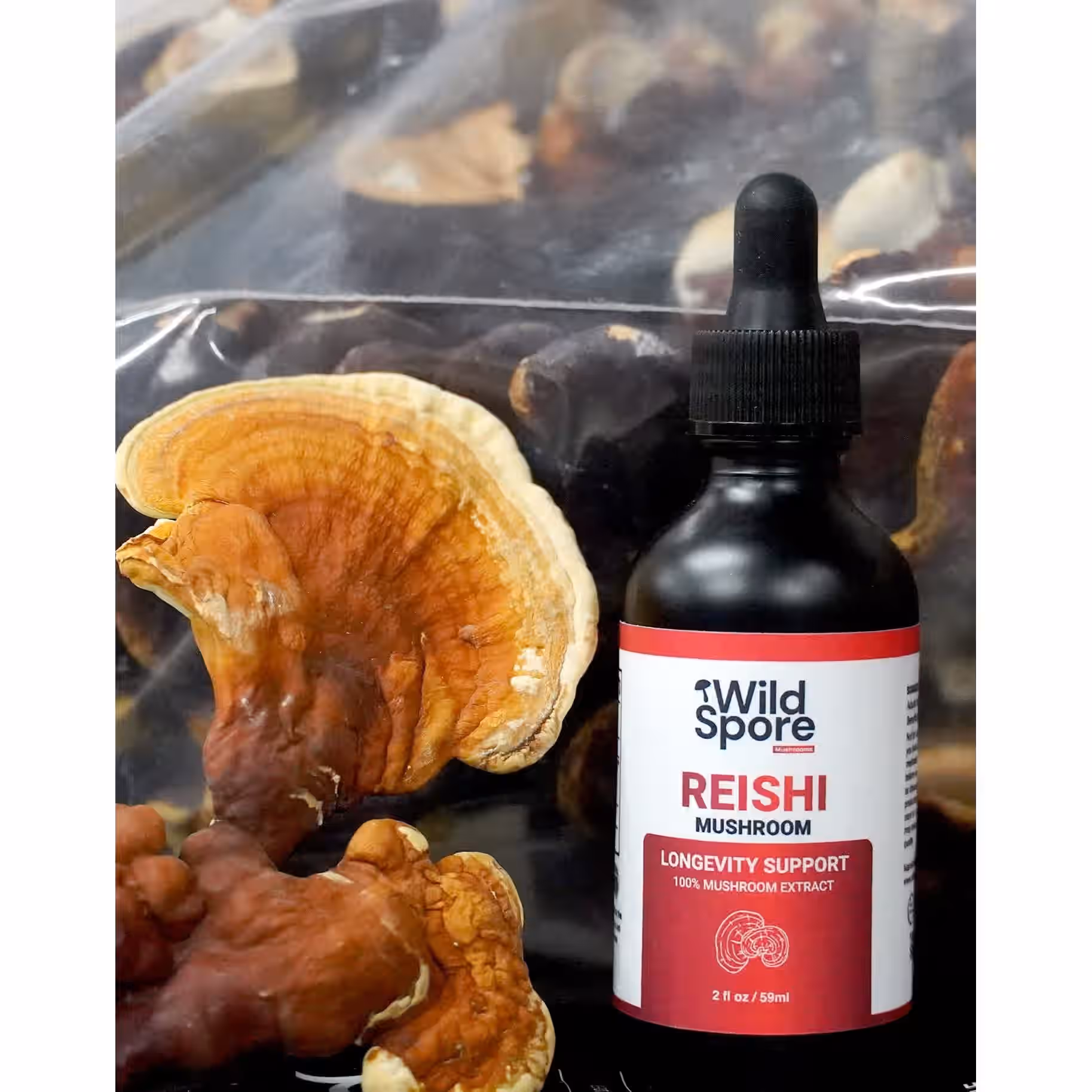 Organic Reishi Mushroom Tincture