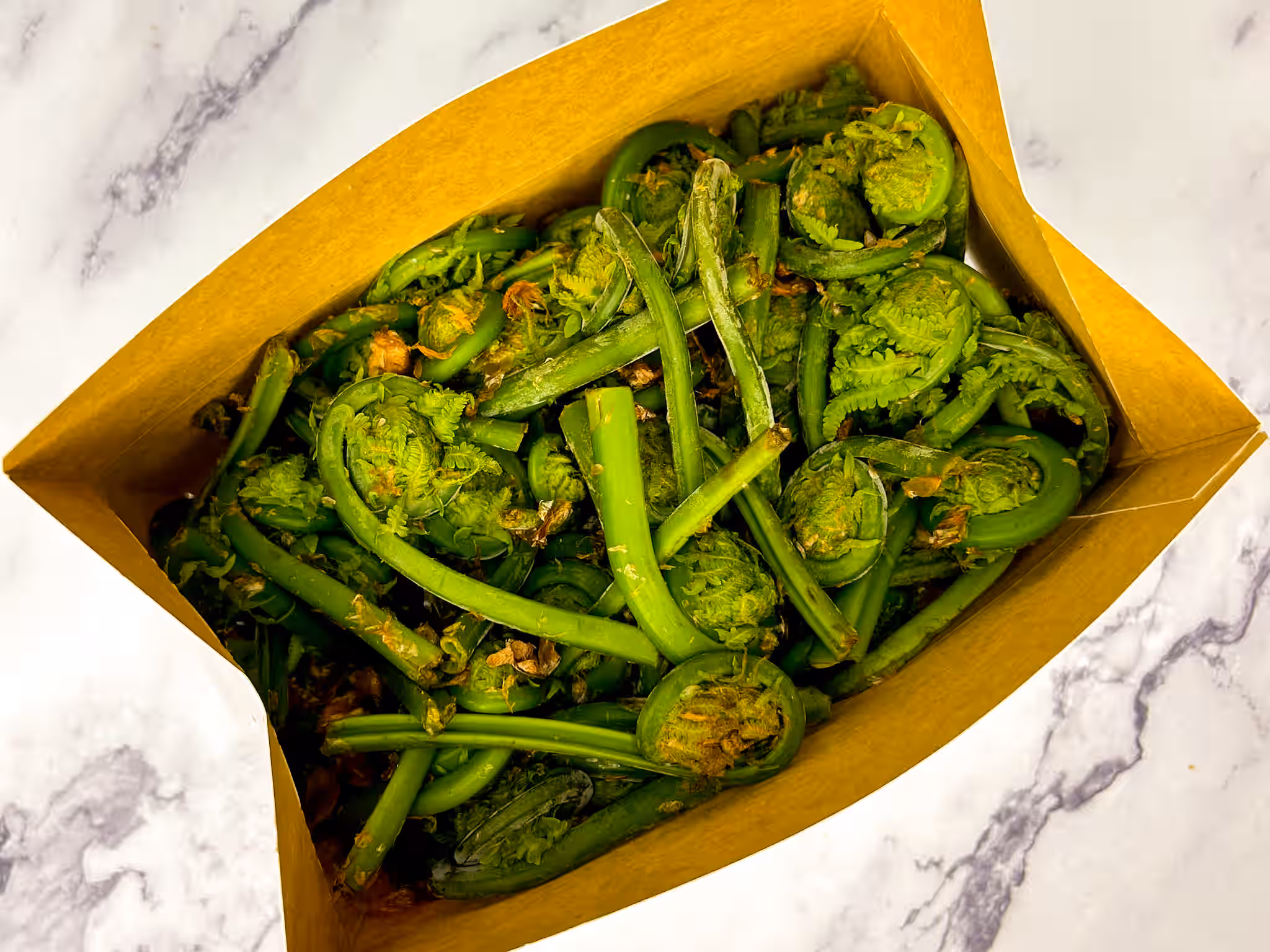 Dried Wild Foraged Fiddleheads - Young Ostrich Ferns - 1 oz - Saratoga County, NY