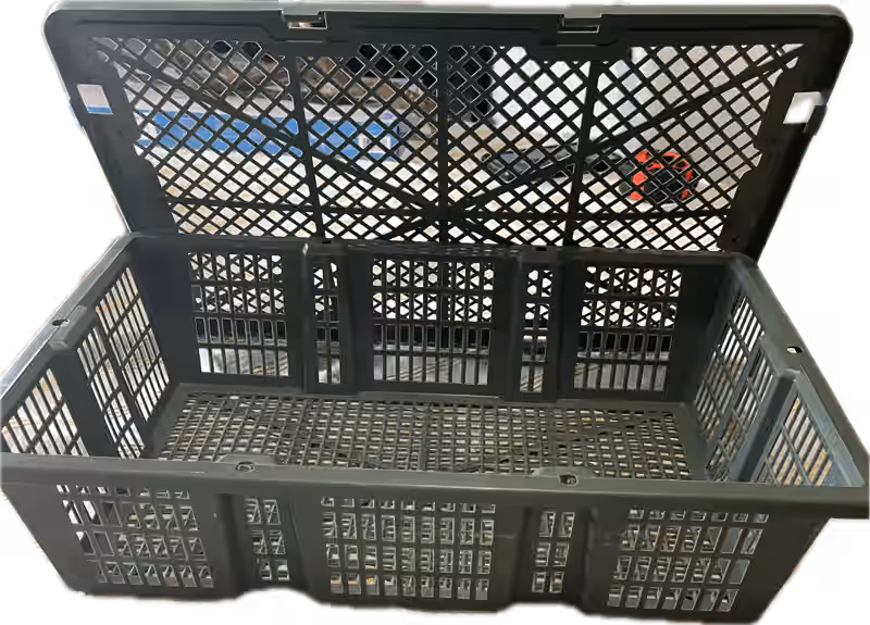 Small Mushroom Basket 5-pack with locking lid
