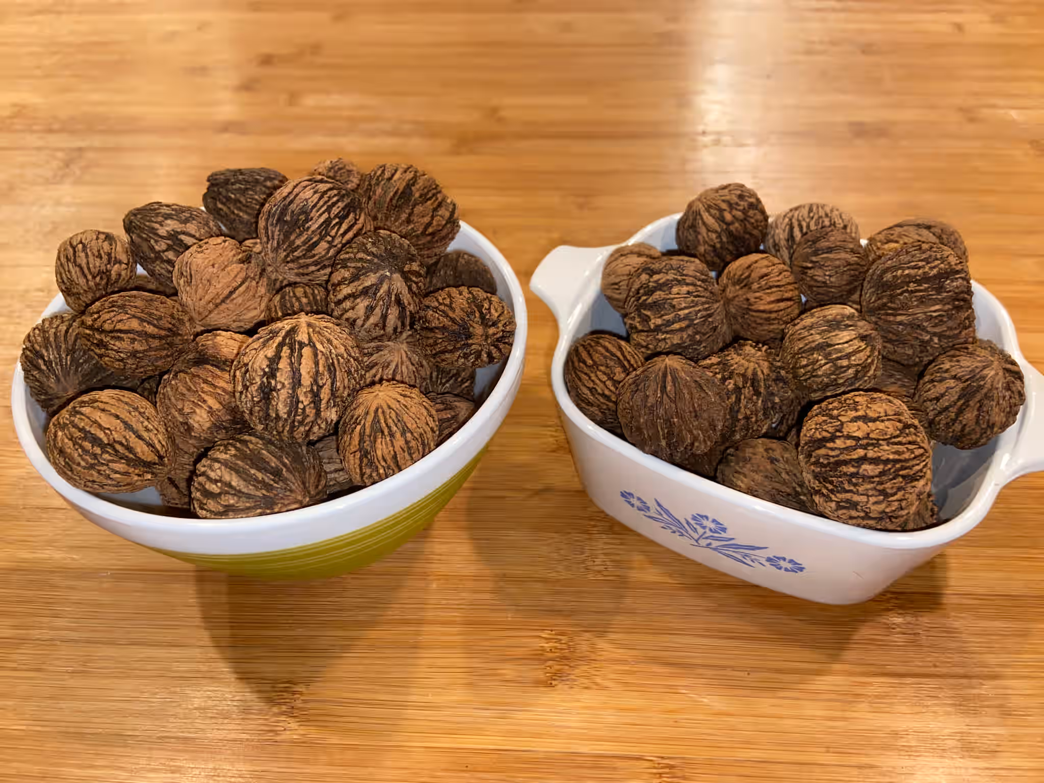 Eastern Black Walnuts in Shell - 2lb - Wild Foraged